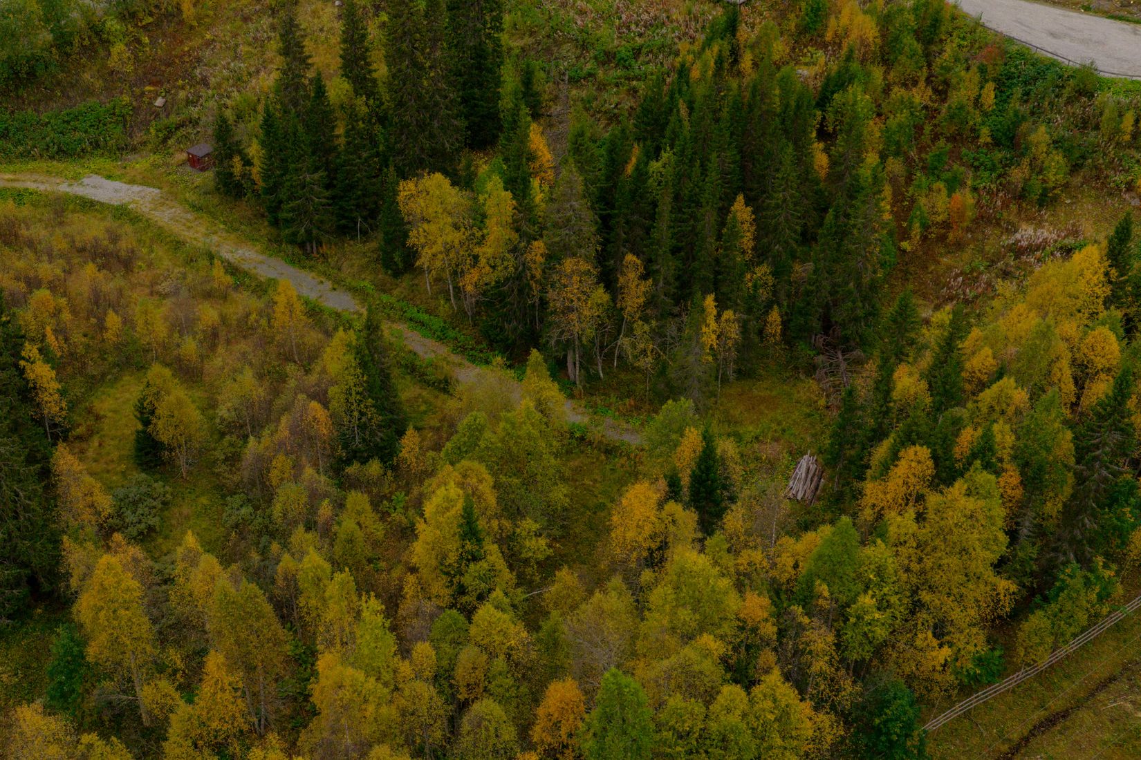 Tomt, Avasjövägen, Borgafjäll, Dorotea