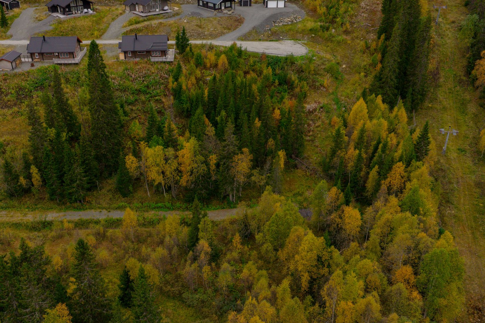Tomt, Avasjövägen, Borgafjäll, Dorotea