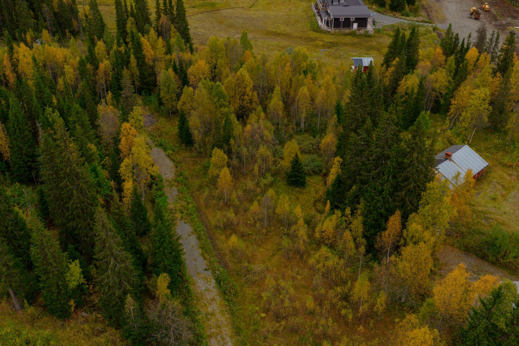 Tomt, Avasjövägen, Borgafjäll, Dorotea