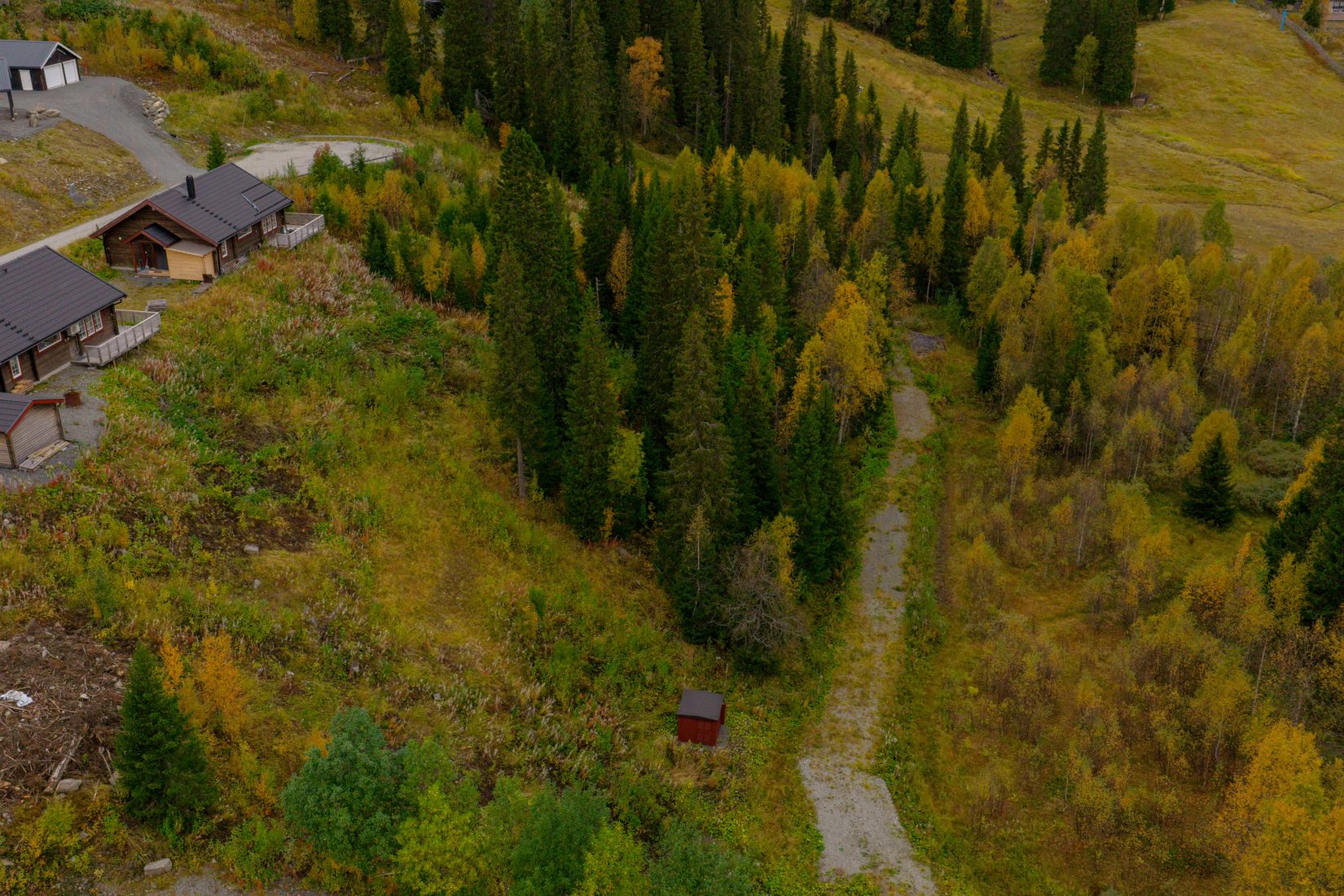 Tomt, Avasjövägen, Borgafjäll, Dorotea