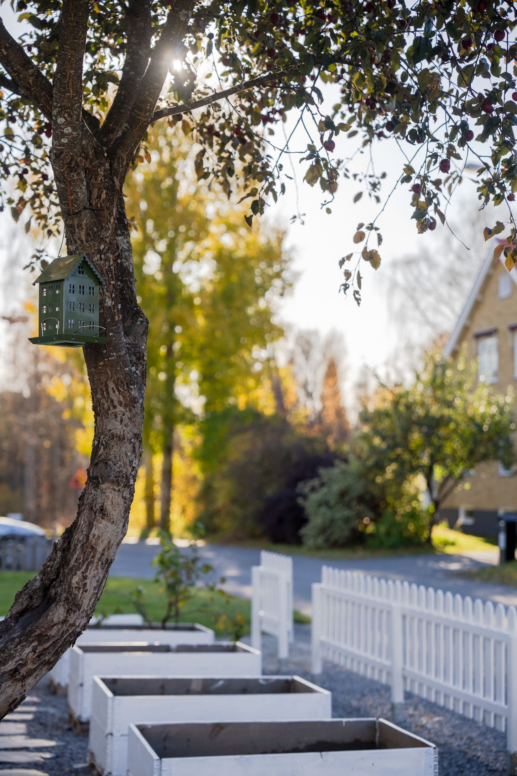 Villa, Lönngatan 10, Älvsbacka, Skellefteå