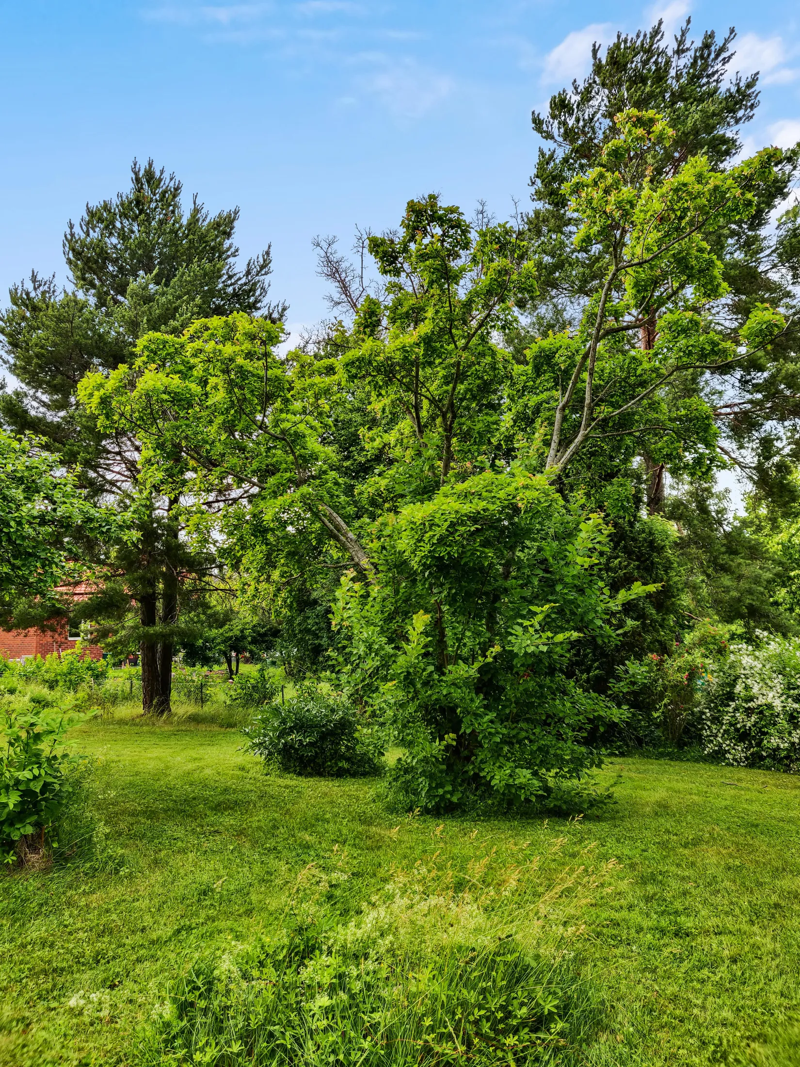 Villa, Ledungsvägen 24, Täby Kyrkby, Täby