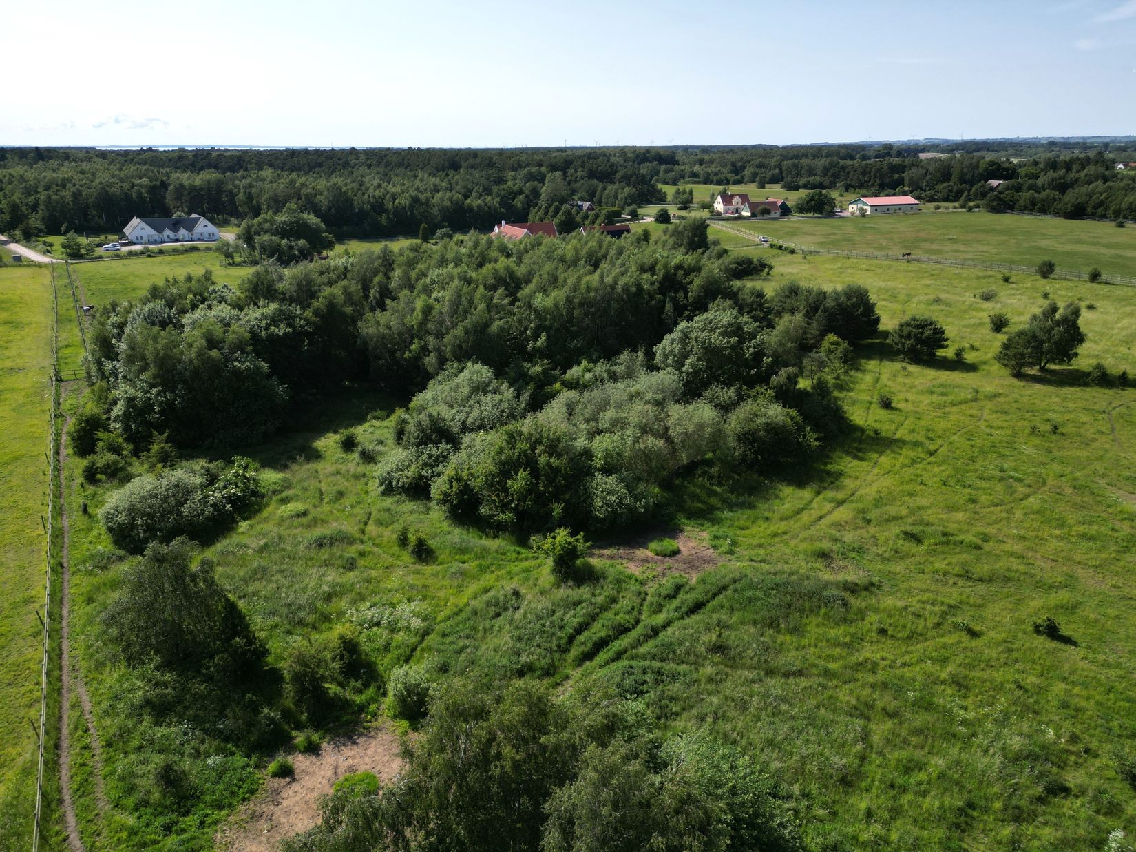 Gård/Skog, Hästgårdsvägen 14, Hofterup / Dösjebro, Kävlinge