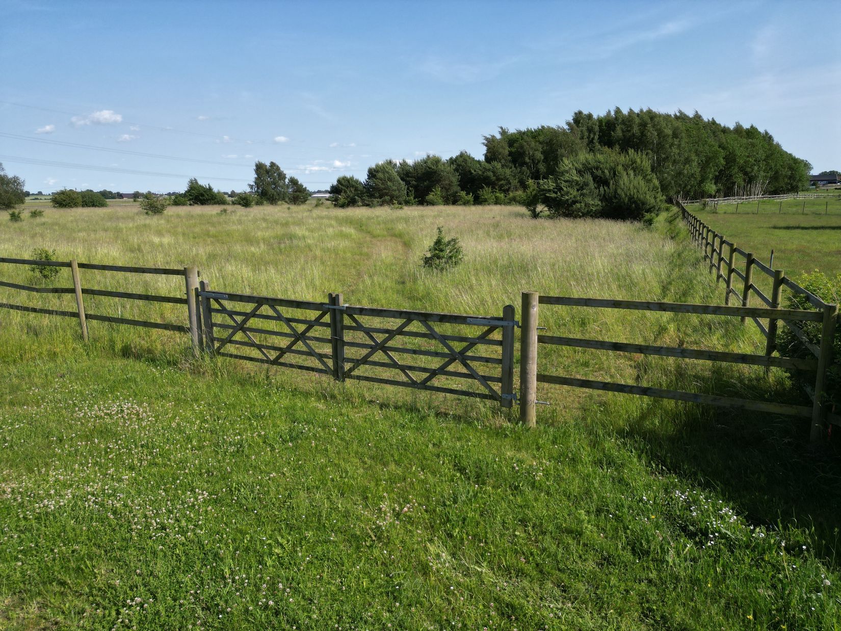 Gård/Skog, Hästgårdsvägen 14, Hofterup / Dösjebro, Kävlinge