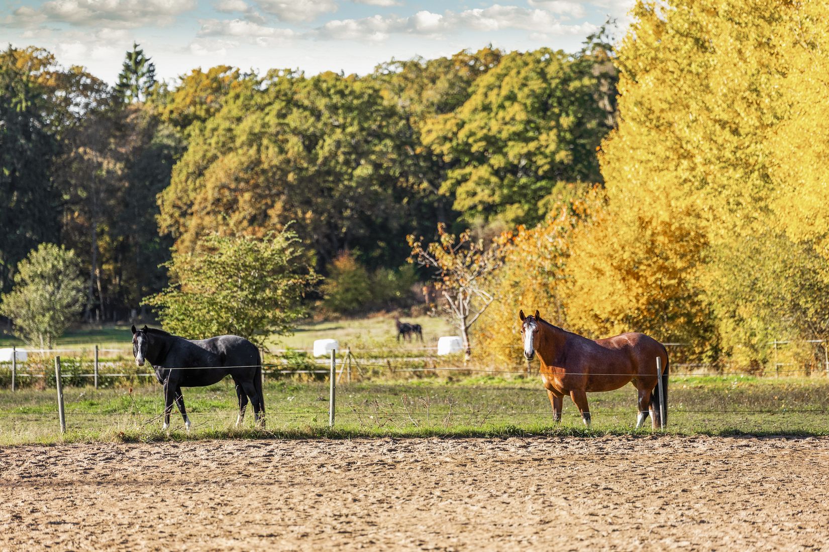 Villa, Tromtesundavägen 21, Ronneby