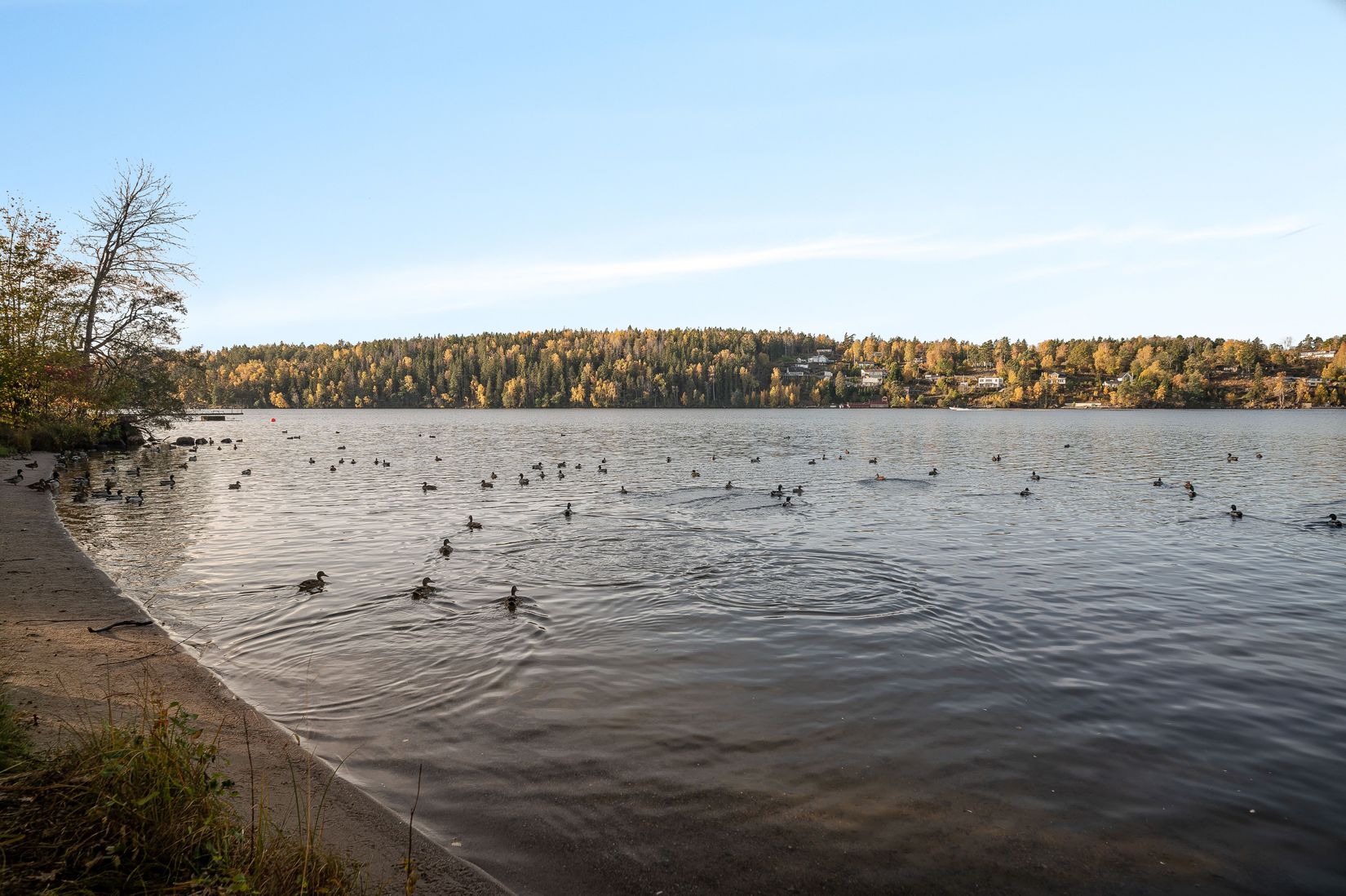 Tomt, Häggstigen 10, Södertälje - Viksberg, Södertälje
