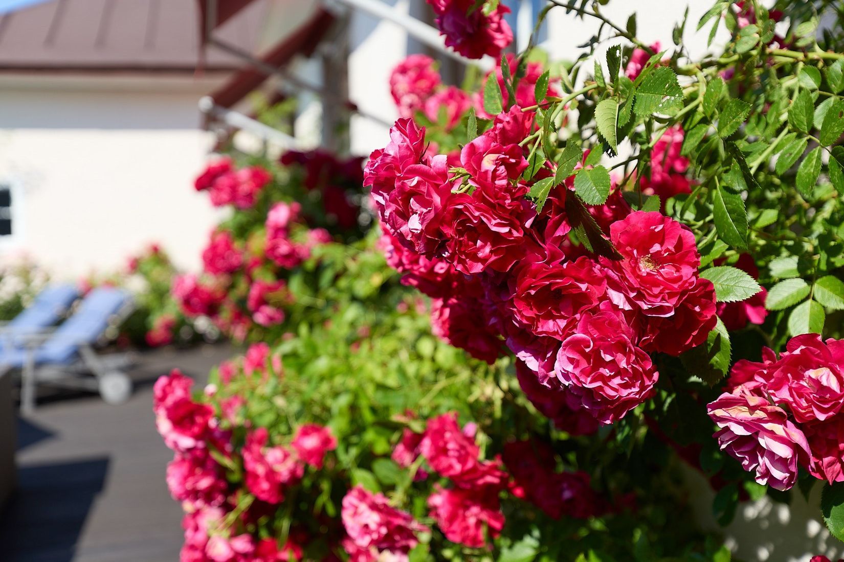 Villa, Granloholmsvägen 11, Sundsvall