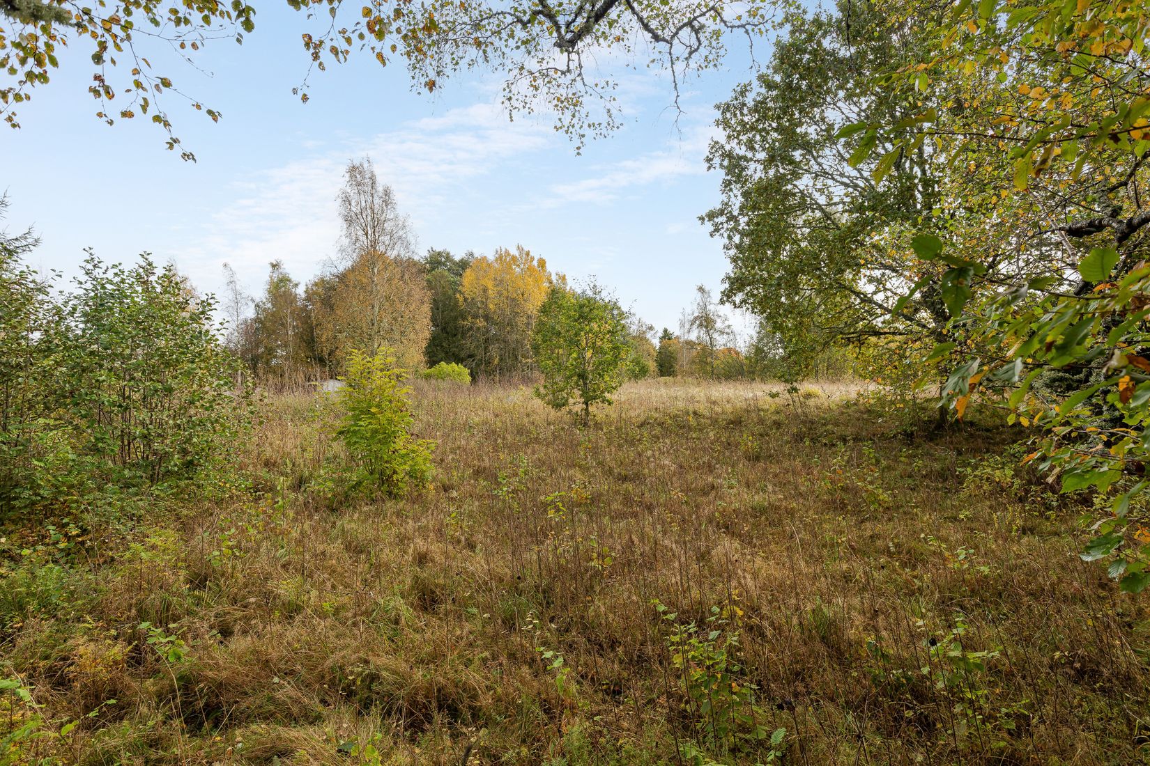 Tomt, Koltrastvägen 7, Hjo