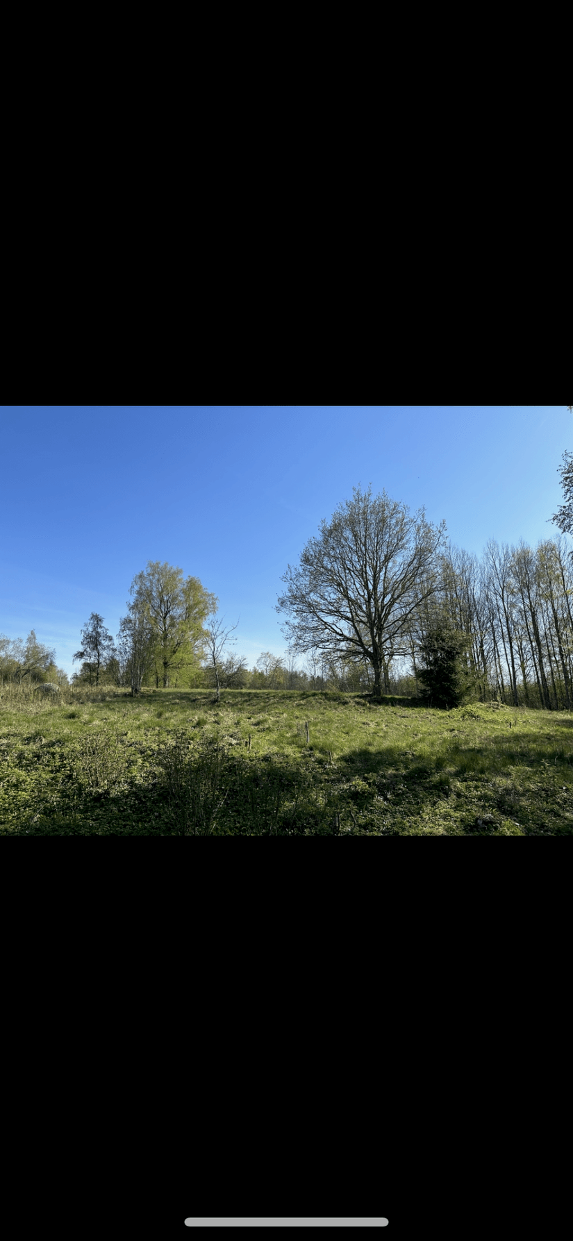 Tomt, Koltrastvägen 7, Hjo