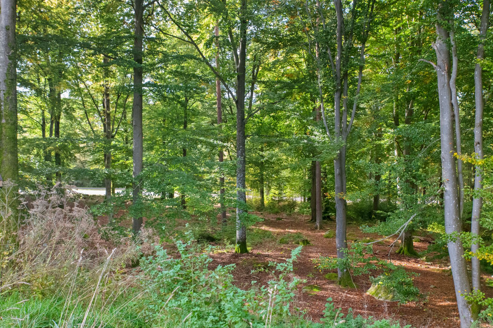 Bostadsrätt, Logementsvägen 17E, Hässleholm