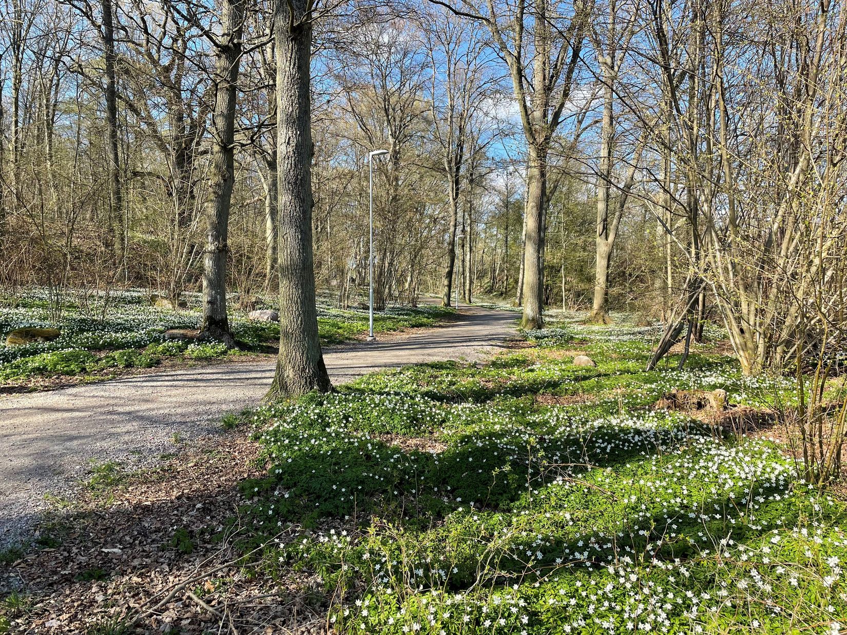 Villa, Krooks väg 9, Rydénskan / Kalleberga Hallar, Ronneby