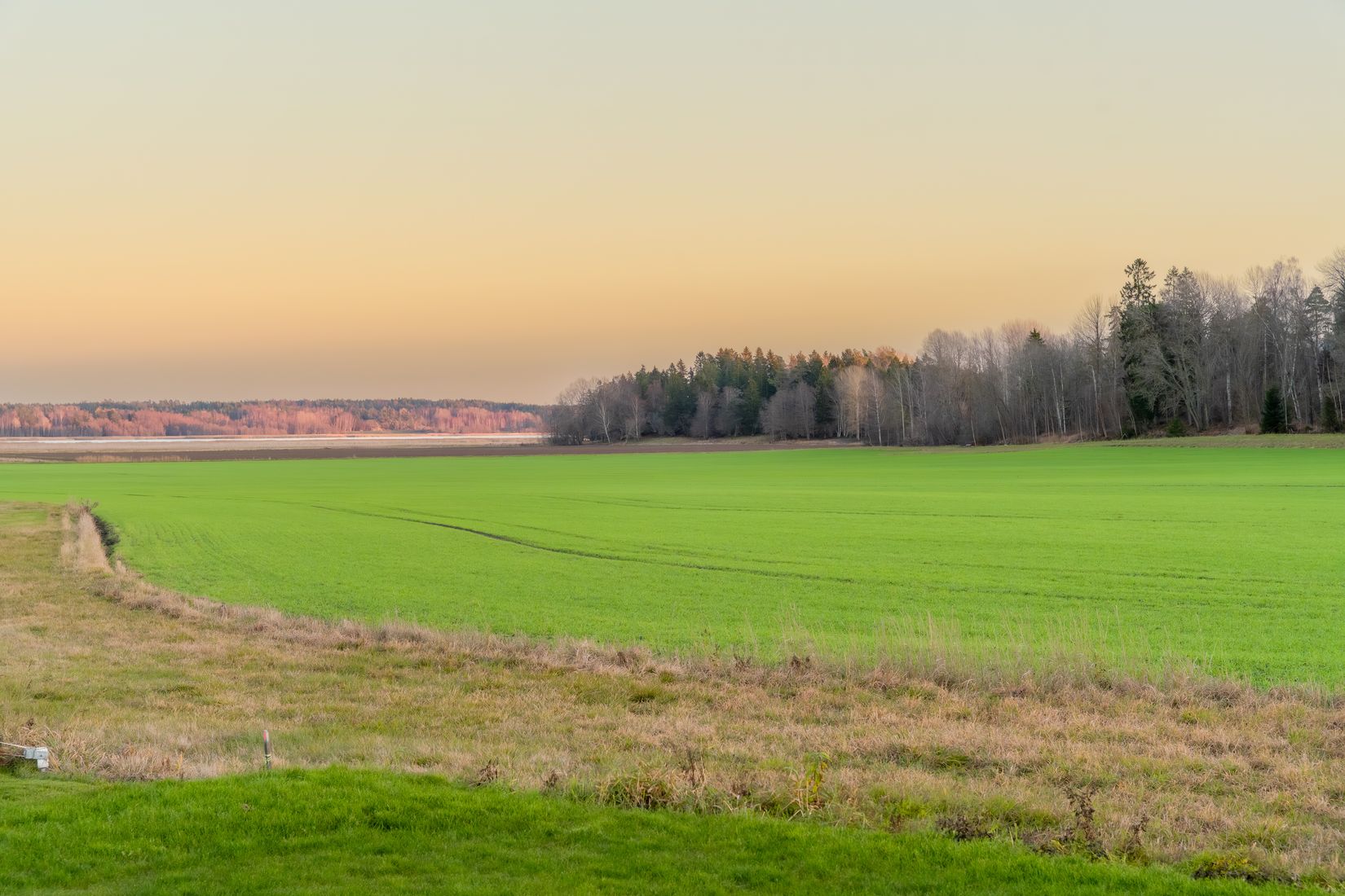 Villa, Rynings väg 24, Malmbryggshage, Nyköping