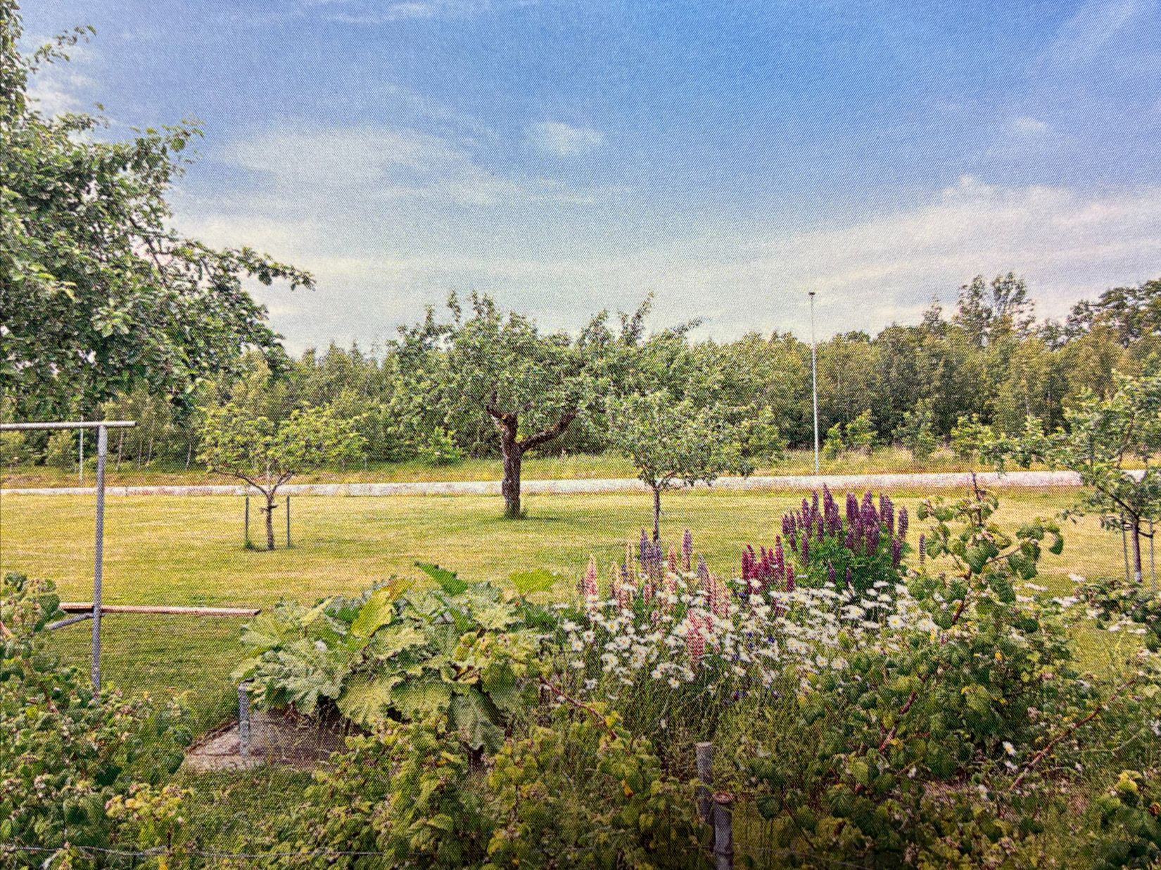 Villa, Rosentorpsvägen 16, Bjuv