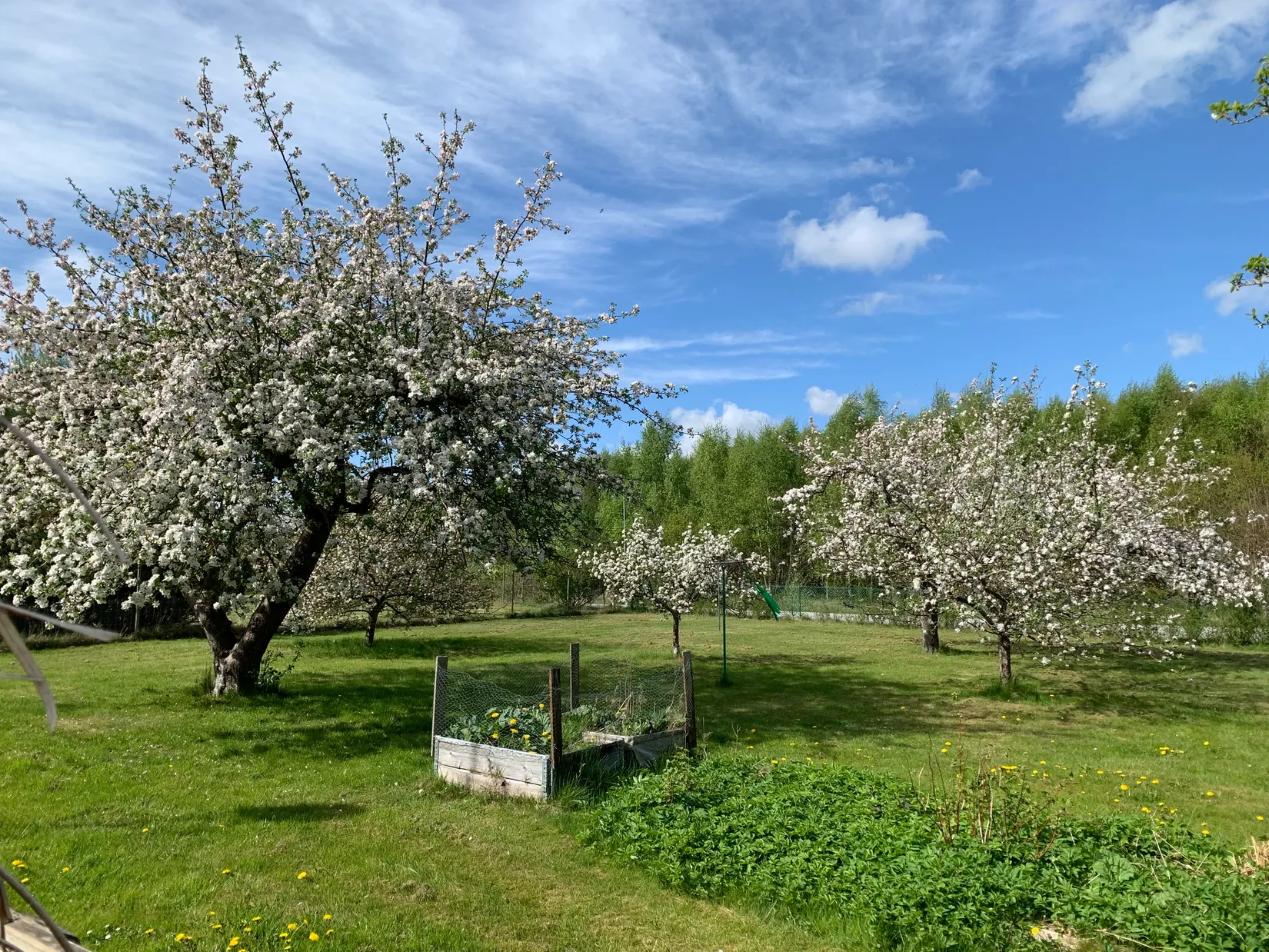 Villa, Rosentorpsvägen 16, Bjuv