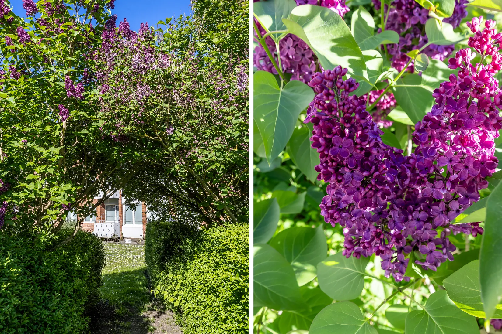 Bostadsrätt, Stubbamöllegatan 2 B, Kirseberg, Malmö