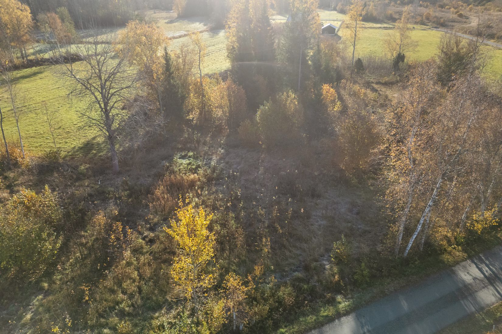 Tomt, Stockrudavägen 27A, Gåsvik, Norrtälje