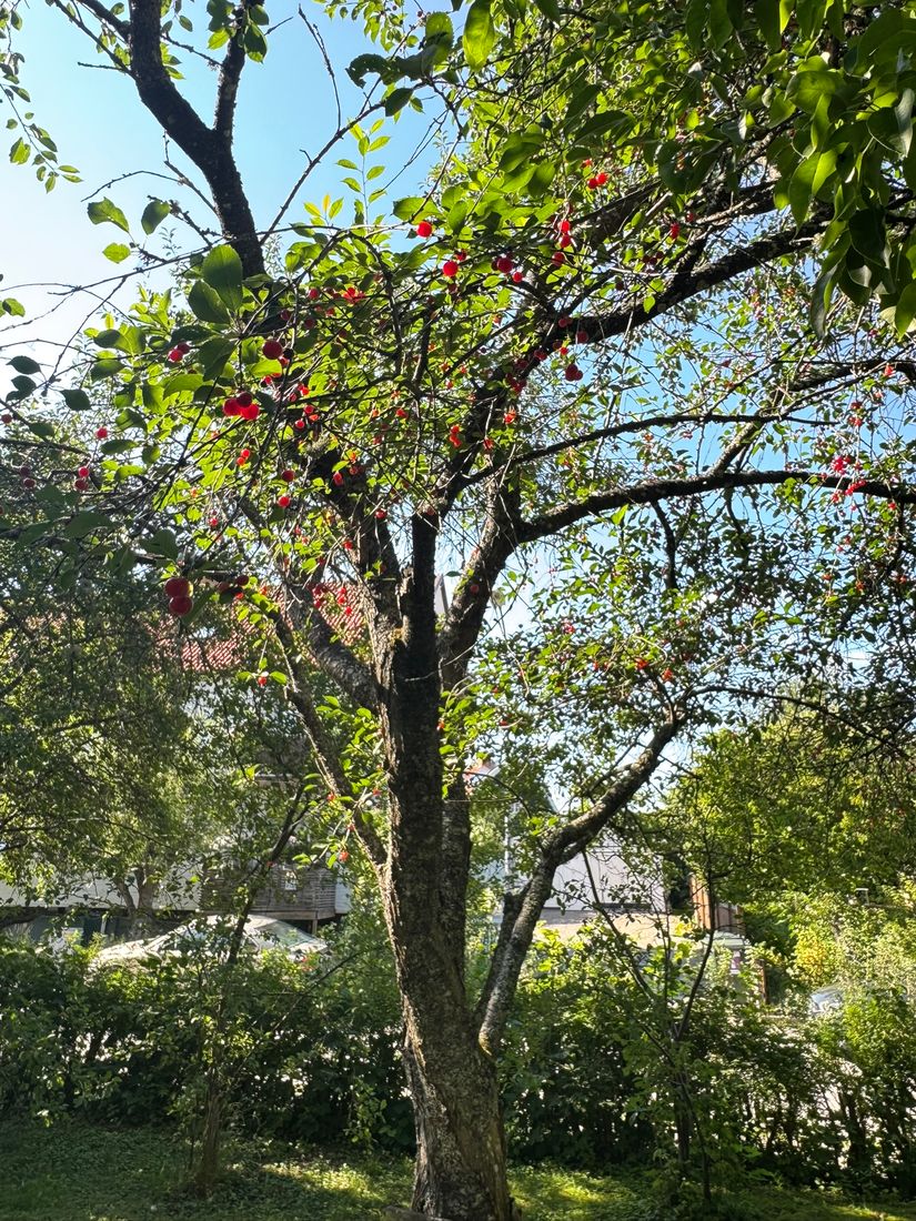 Villa, Fredsvägen 3, Strängnäs Centrum, Strängnäs