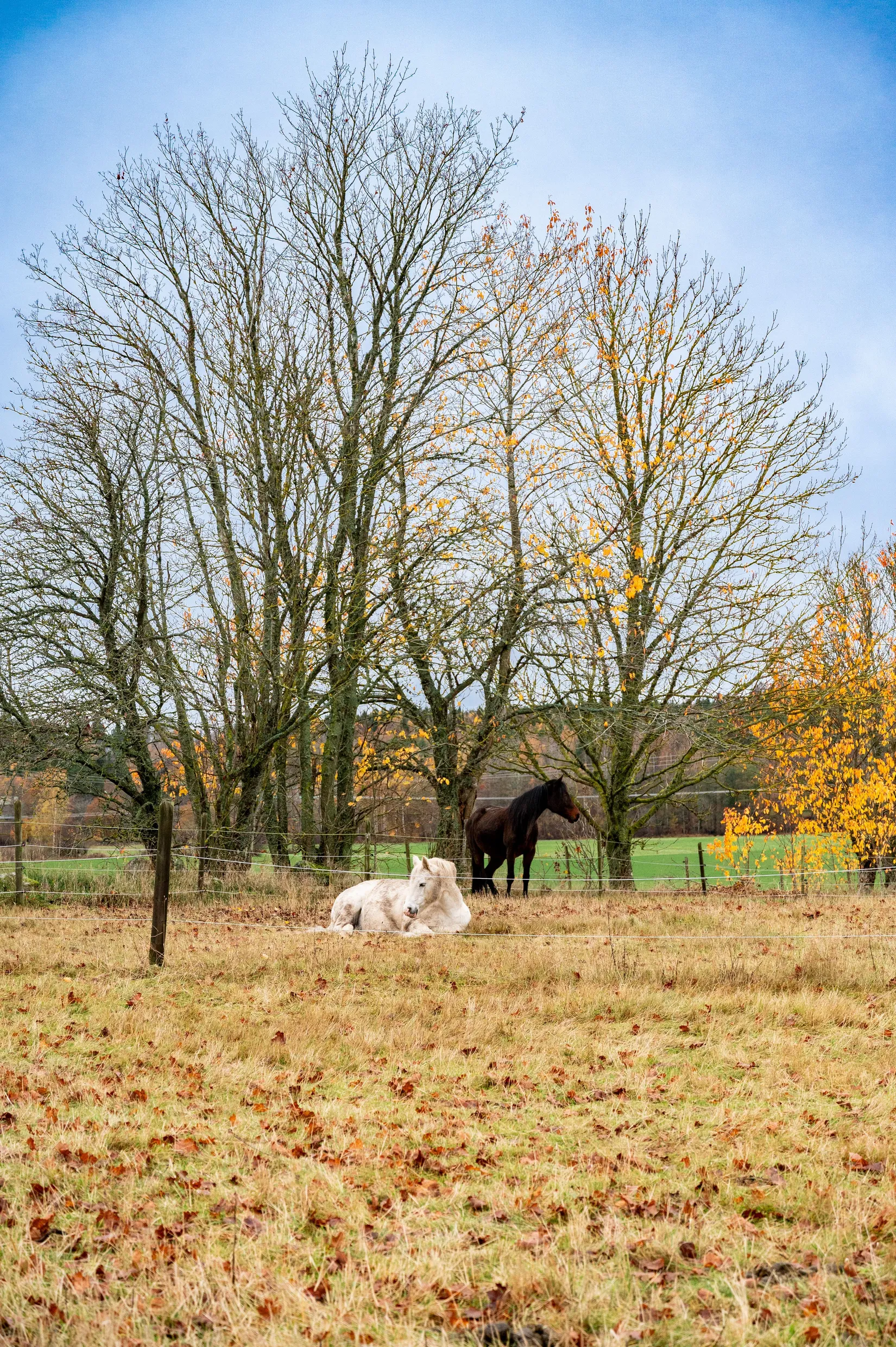 Villa, Böja Storegården 4, Böja, Skövde