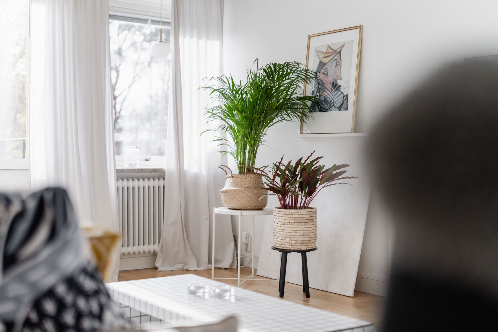 Bostadsrätt, Furulundsgatan 20B, Tullen, Borås