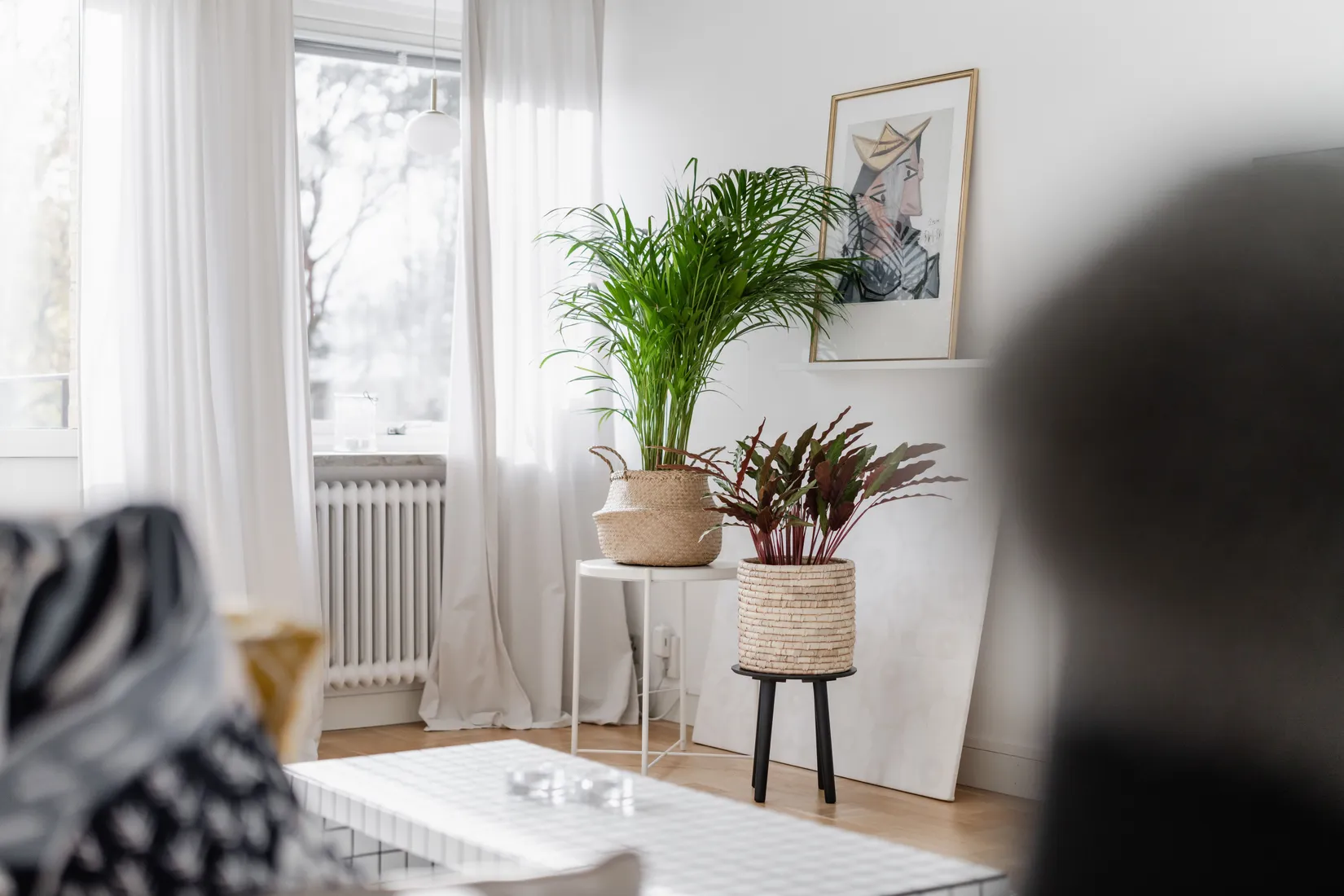 Bostadsrätt, Furulundsgatan 20B, Tullen, Borås