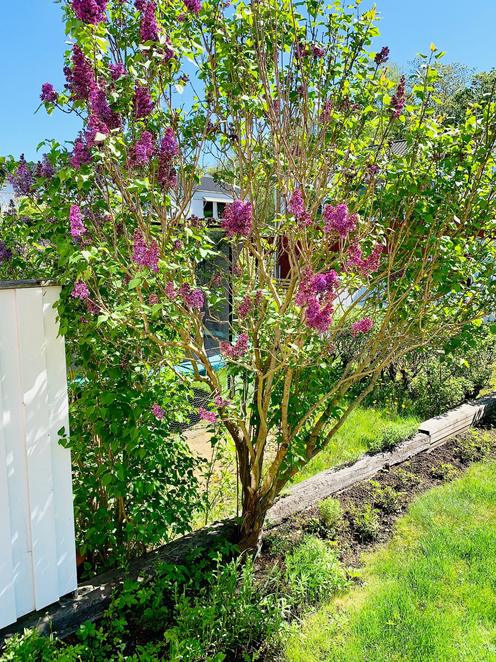 Radhus, Tvetgatan 159, Tveten, Kungälv