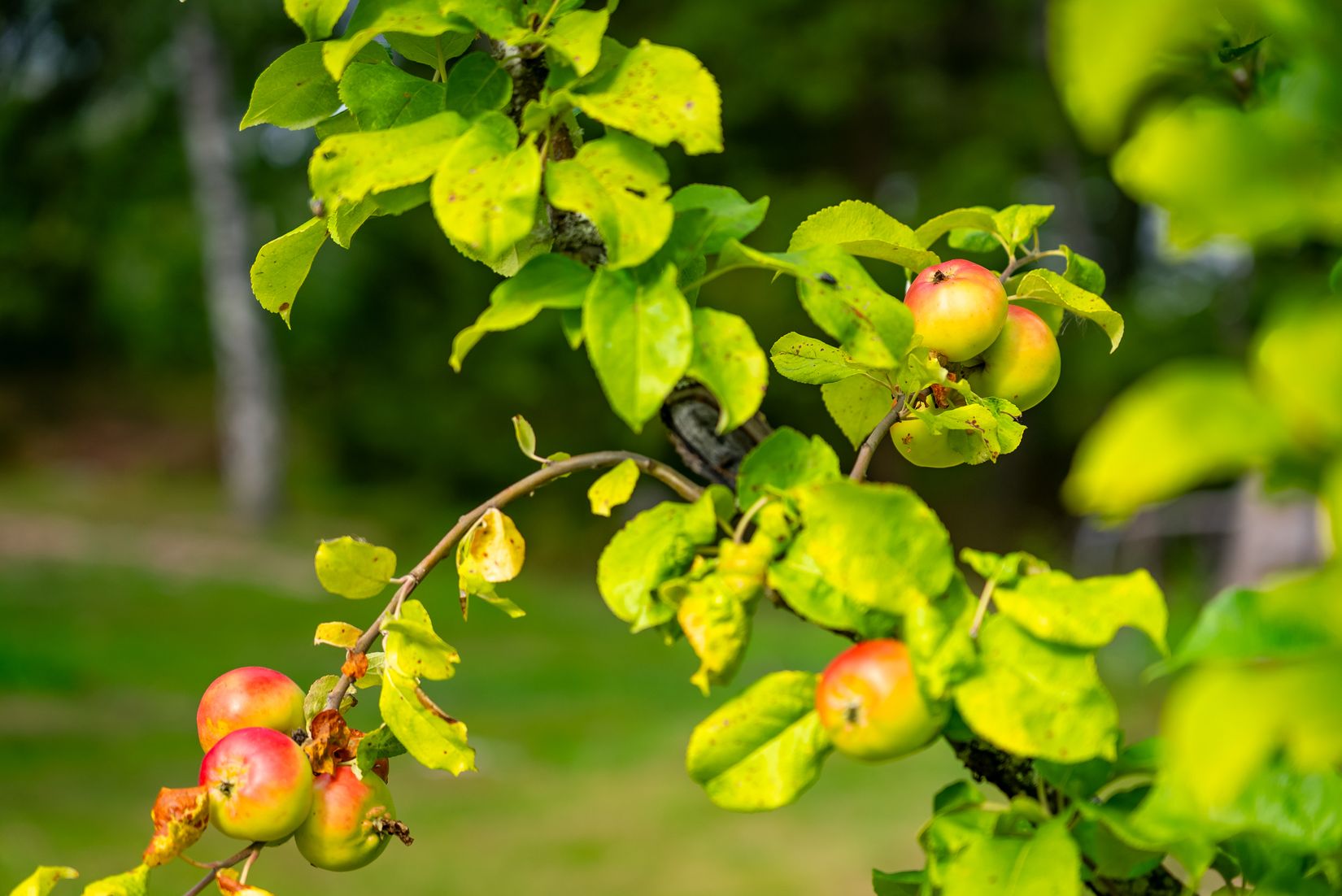 Villa, Hagtorpsvägen 33, Eskilstuna