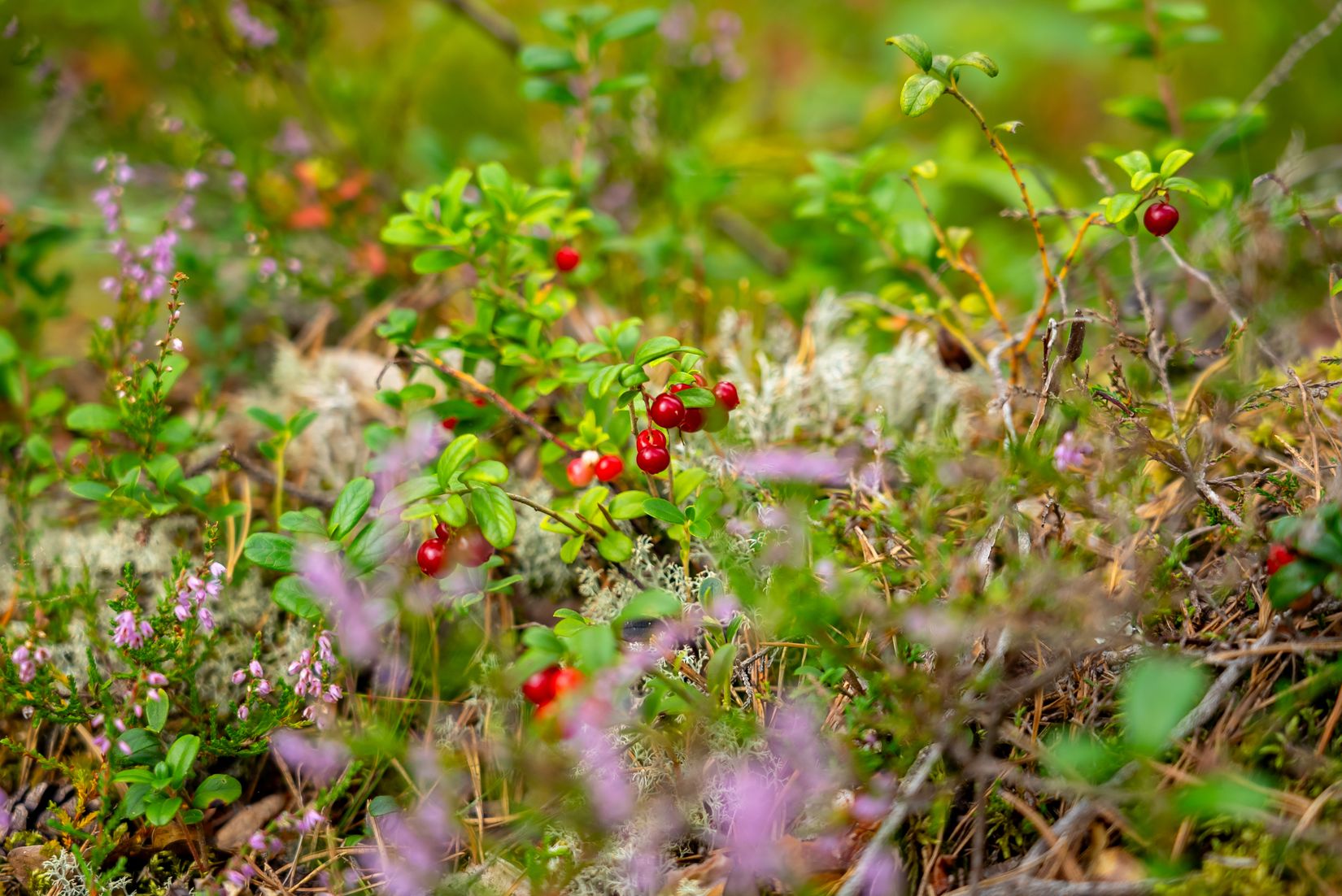 Villa, Hagtorpsvägen 33, Eskilstuna