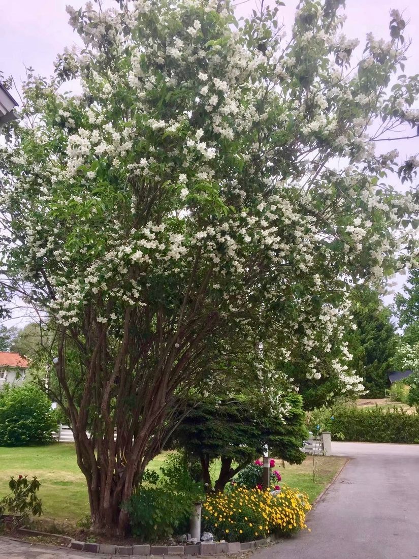 Villa, Skillingvägen 8, Skälby, Järfälla