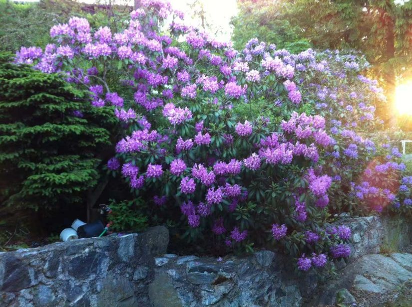 Villa, Skillingvägen 8, Skälby, Järfälla