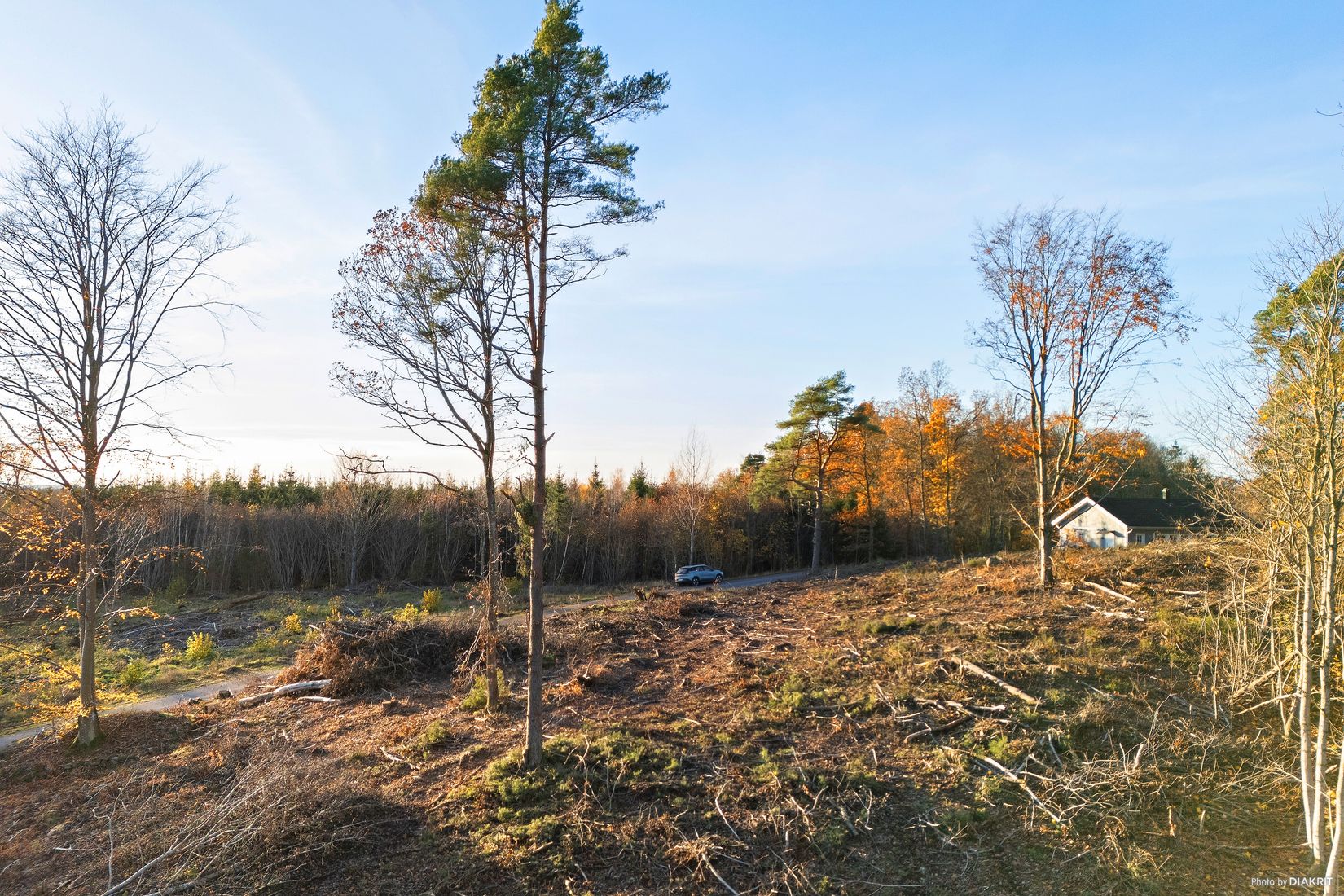 Tomt, Bjärsgård 3:21, Stidsvig, Klippan