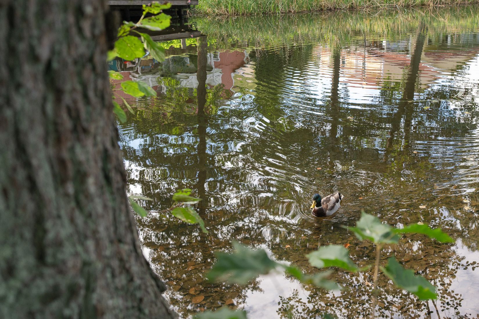 Bostadsrätt, Radhus, Slussbrovägen 104, Runö, Österåker