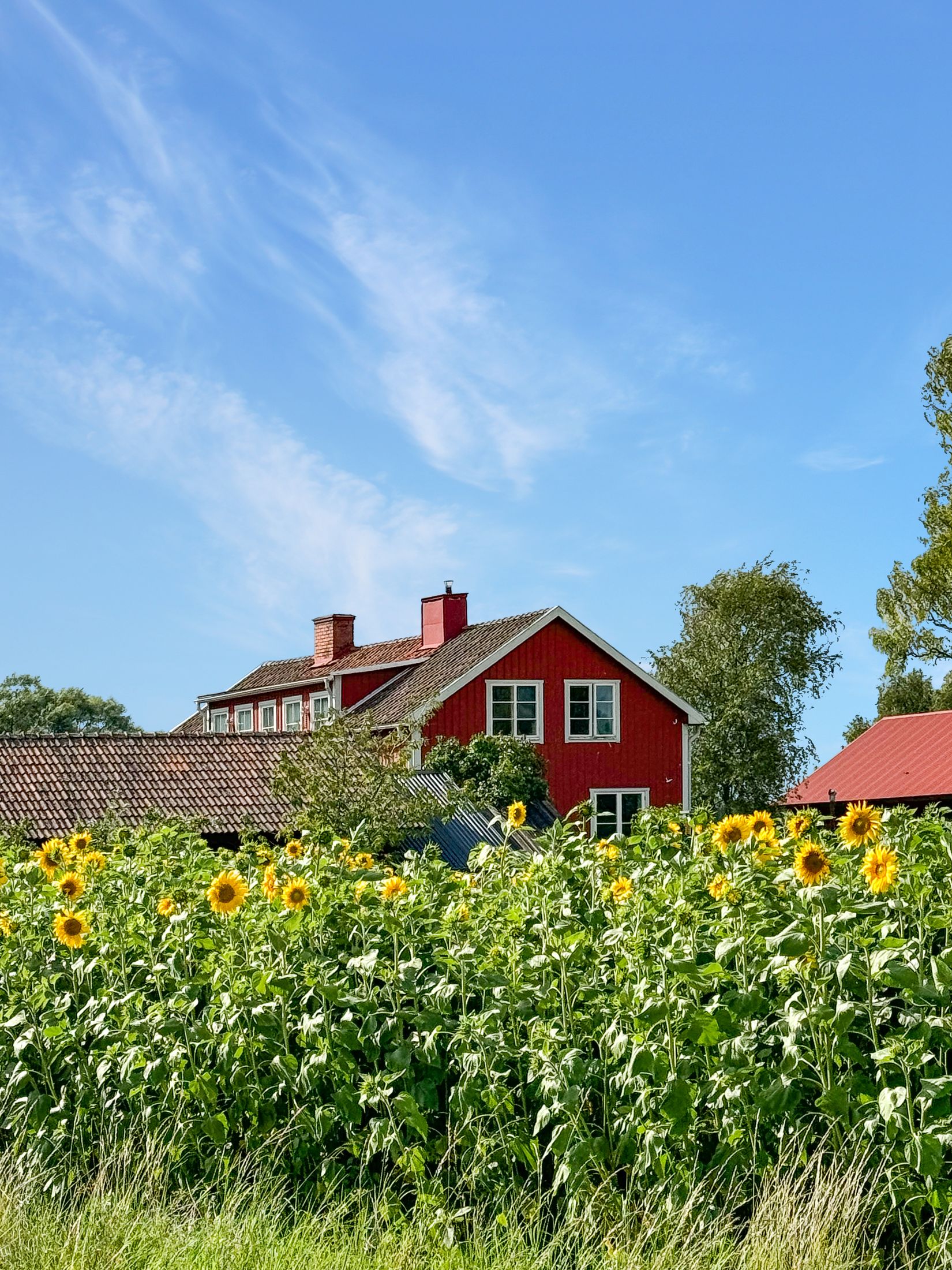 Villa, Tensta 4, Tensta, Uppsala
