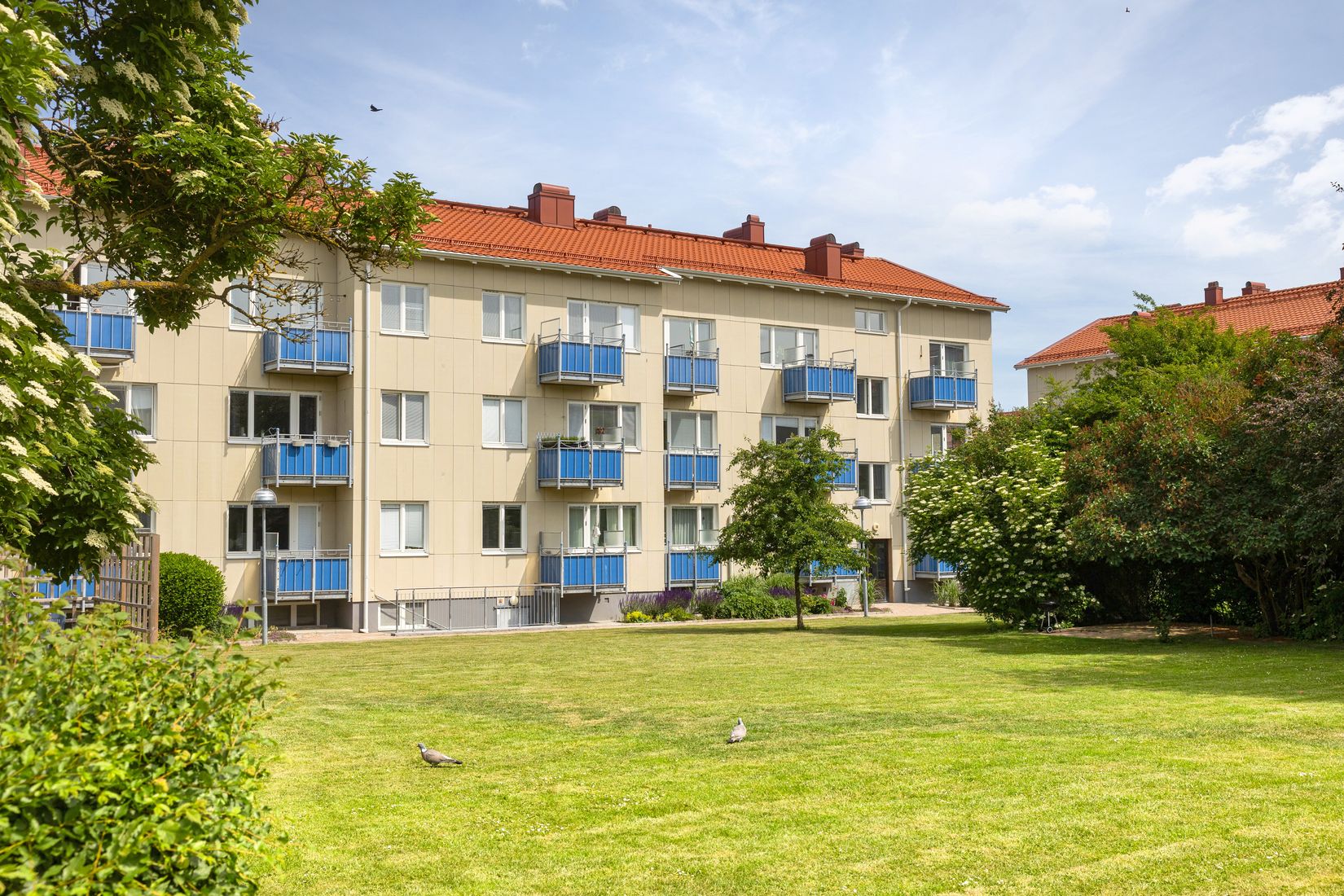 Bostadsrätt, Ribevägen 8A, Dammfri, Malmö