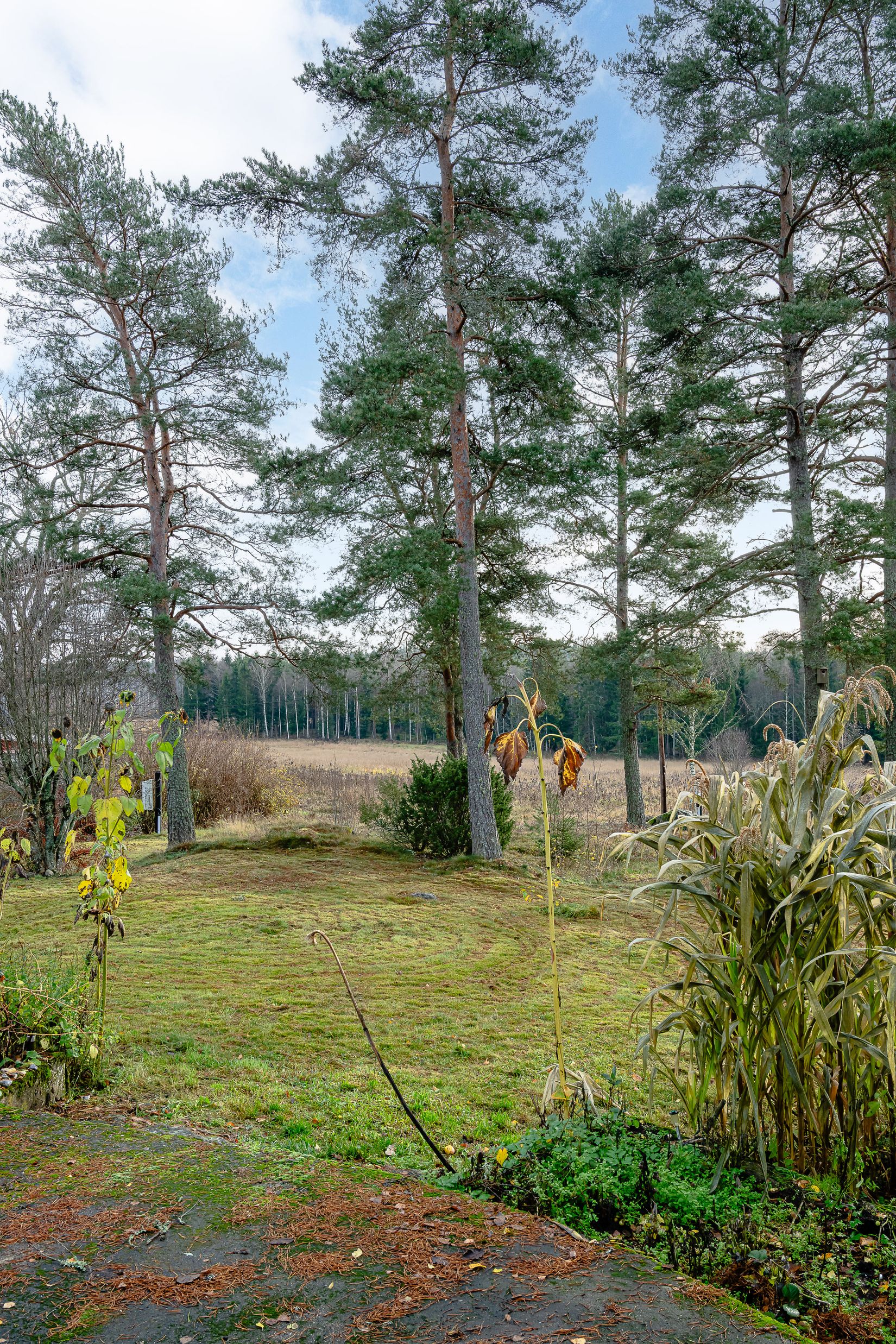 Fritidshus, Laxne Björnkärr 3, Laxne, Gnesta