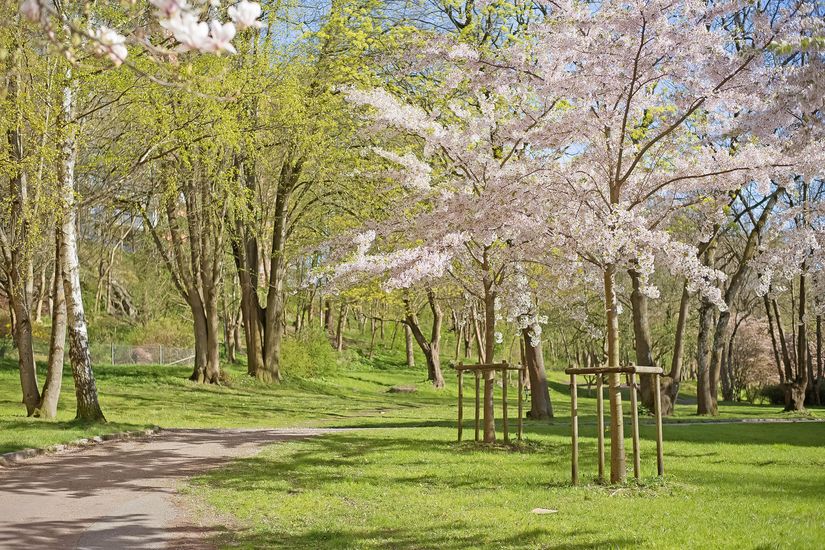 Bostadsrätt, Kallebäcksvägen 17B, Kallebäck, Göteborg