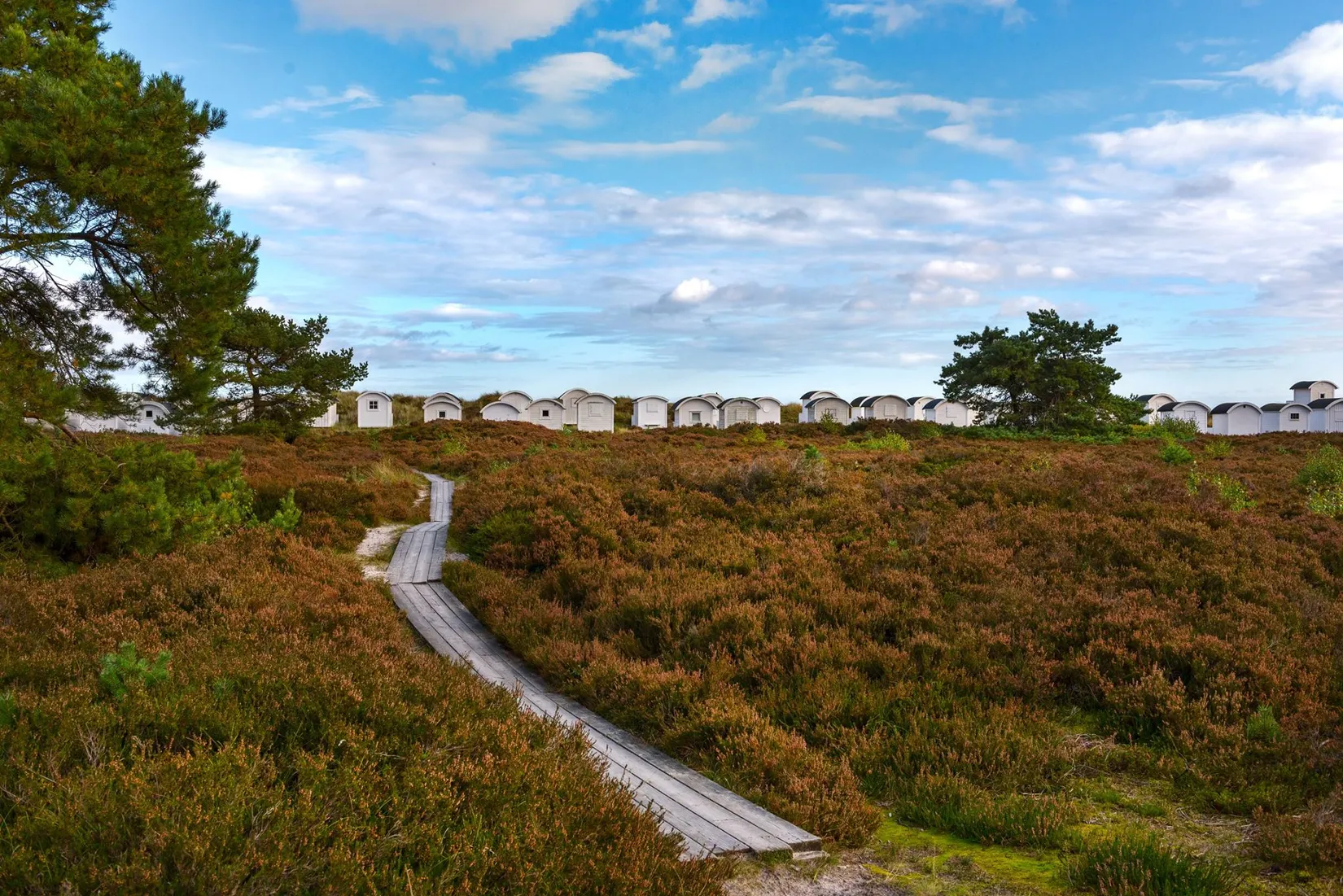 Villa, Västra Vråkvägen 6, Ljungskogen, Vellinge