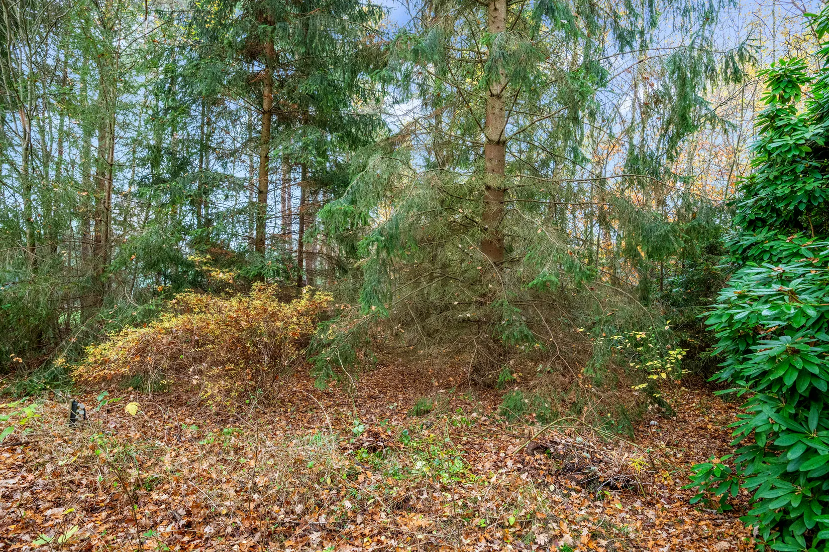 Villa, Västra Vråkvägen 6, Ljungskogen, Vellinge