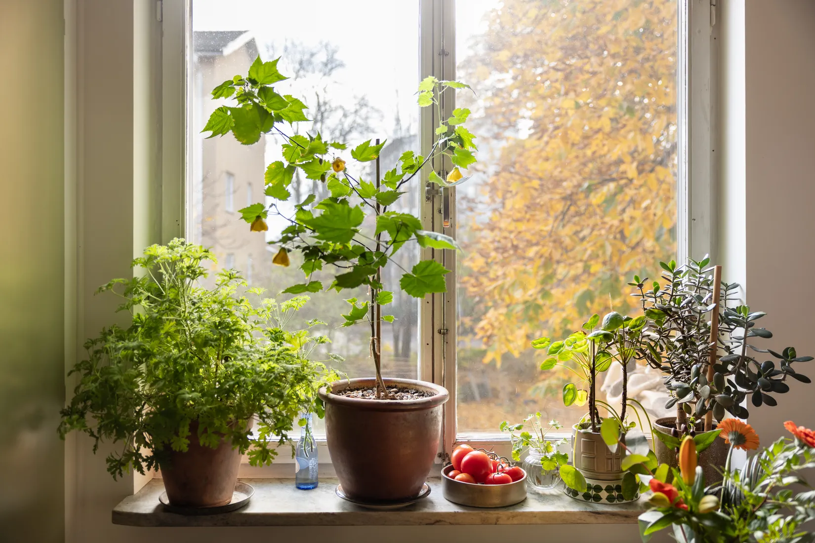 Bostadsrätt, Malmövägen 30, Hammarbyhöjden, Stockholm