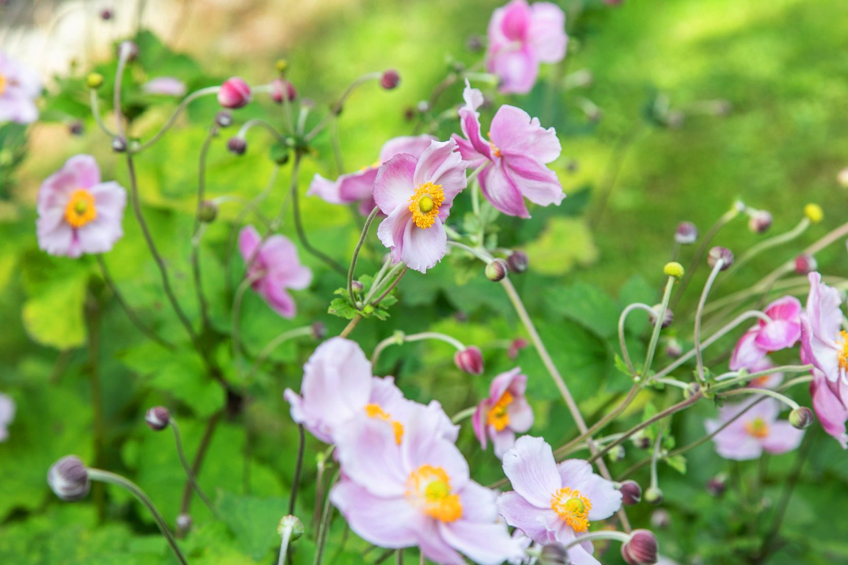 Bostadsrätt, Sturevägen 12, Nacka