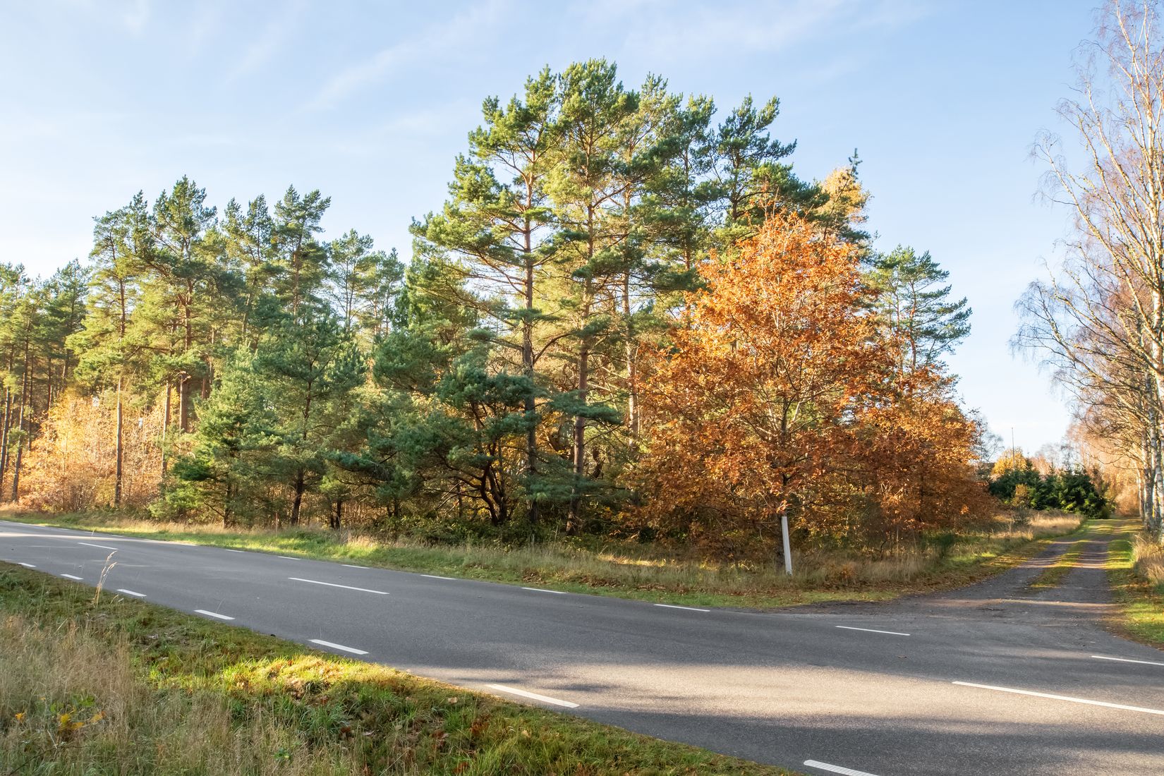 Tomt, Hagestad 3:4, Sandhammaren, Ystad