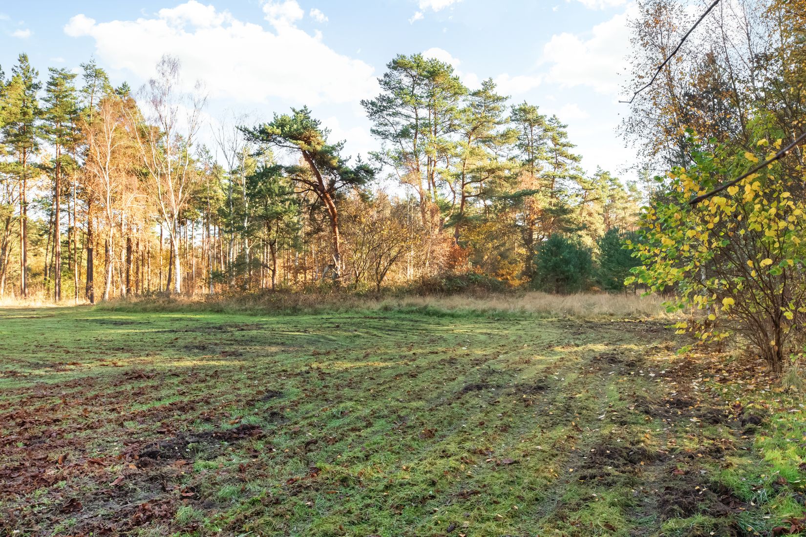 Tomt, Hagestad 3:4, Sandhammaren, Ystad