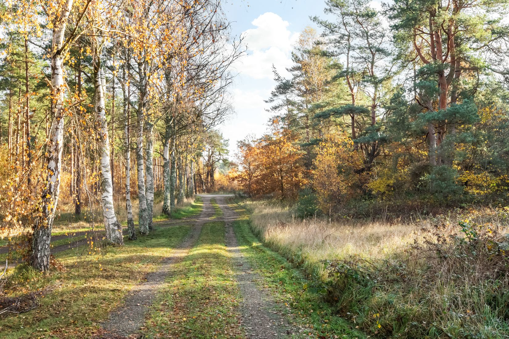 Tomt, Hagestad 3:4, Sandhammaren, Ystad