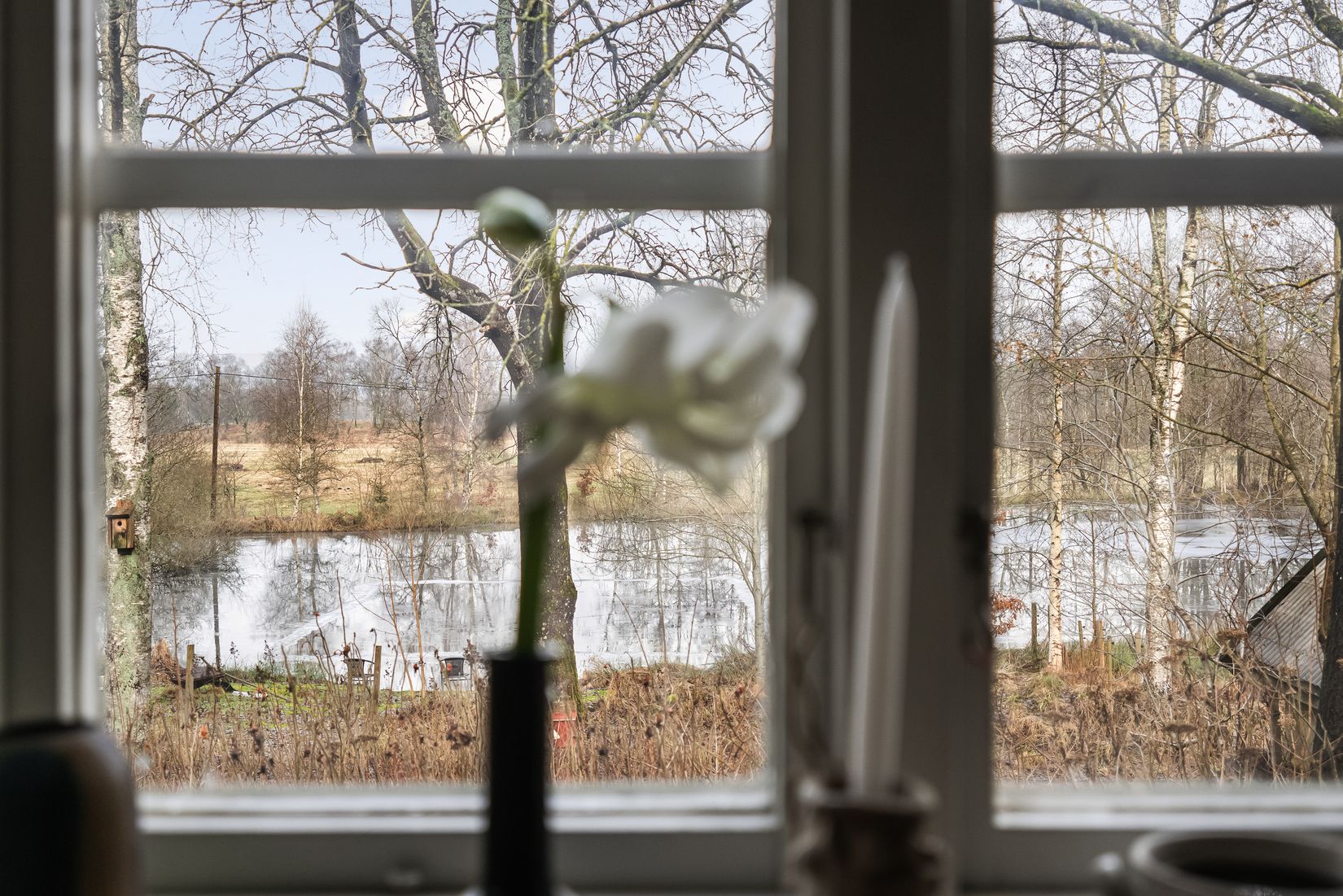 Gård/Skog, Bassholma byaväg 130, Bassholma, Ängelholm