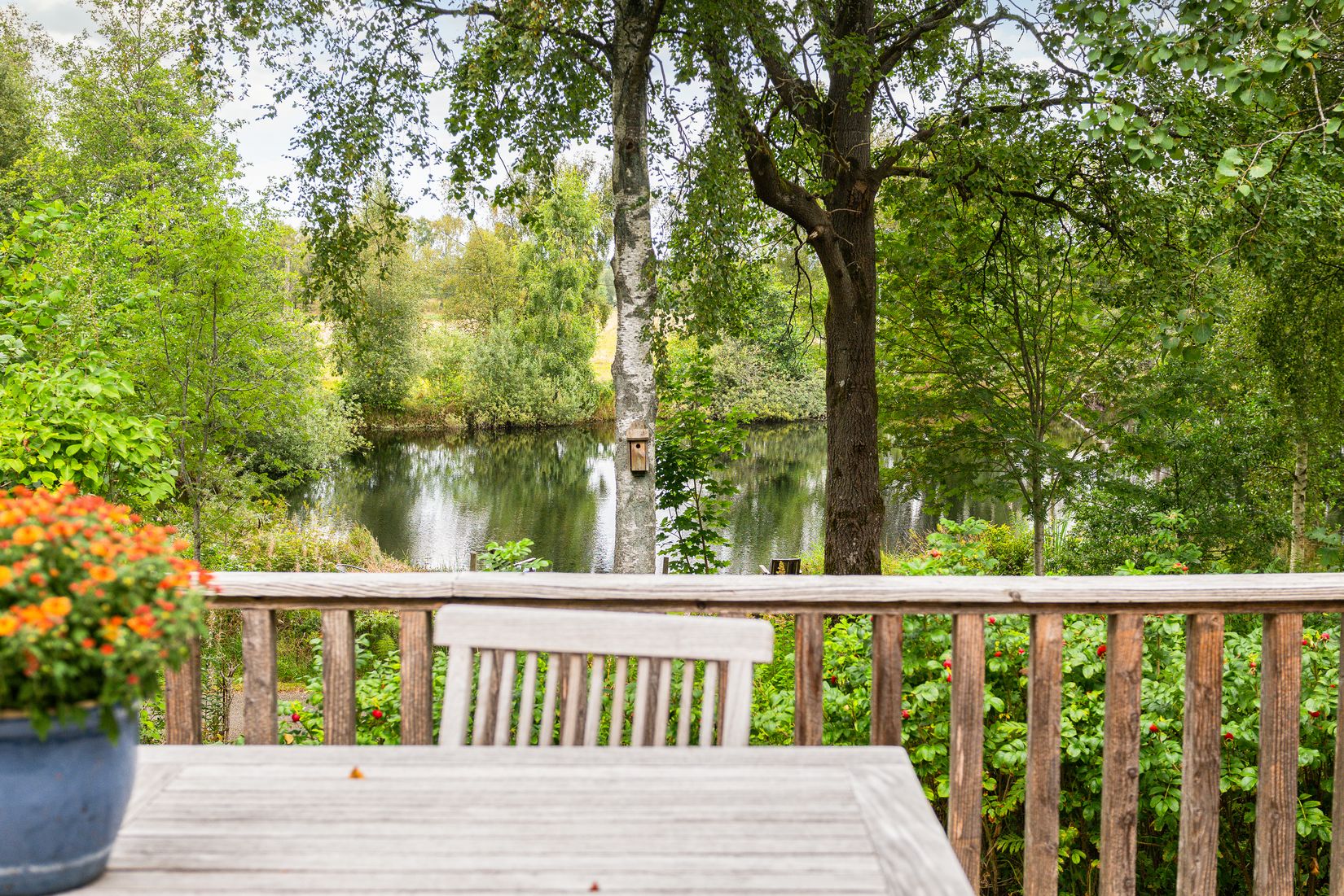 Gård/Skog, Bassholma byaväg 130, Bassholma, Ängelholm