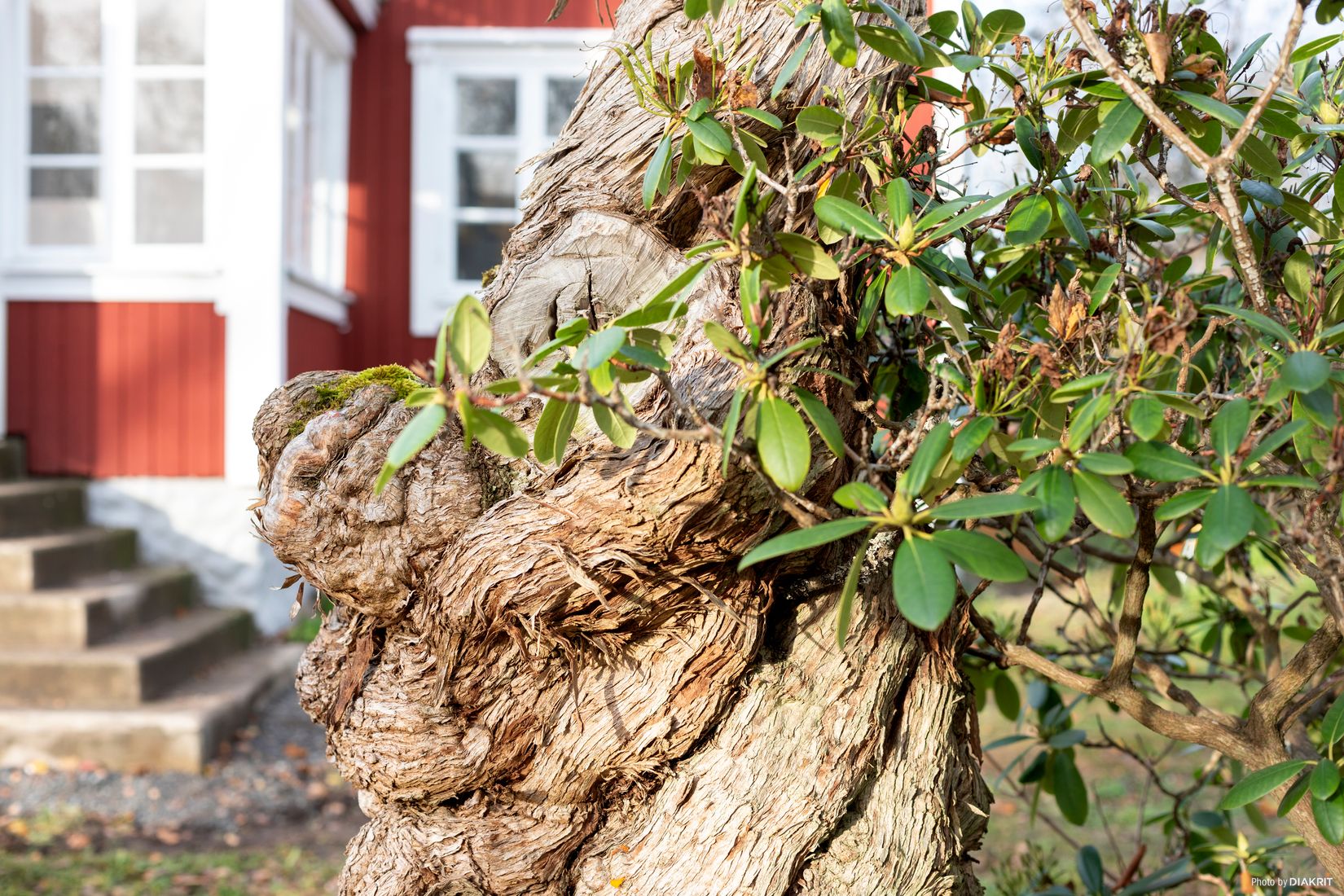 Villa, Löt Tängby 10, Veckholm, Enköping