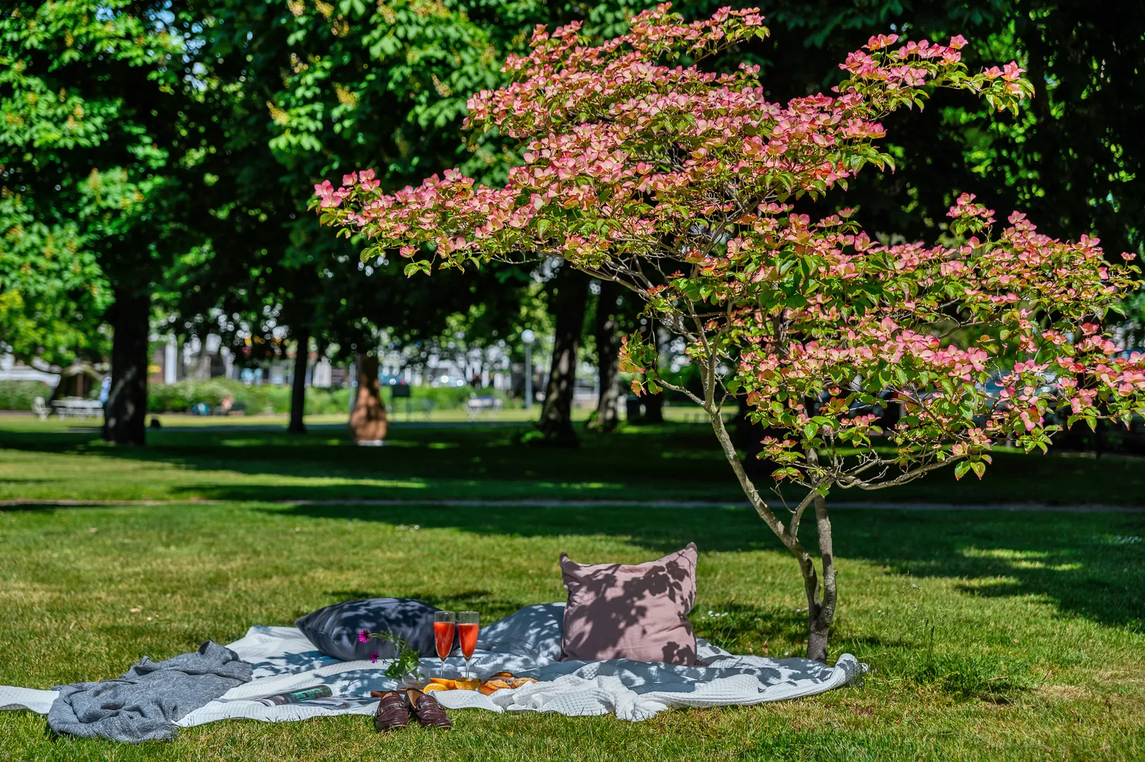 Bostadsrätt, Trädgårdsgatan 13, Helsingborg - Centrum, Helsingborg