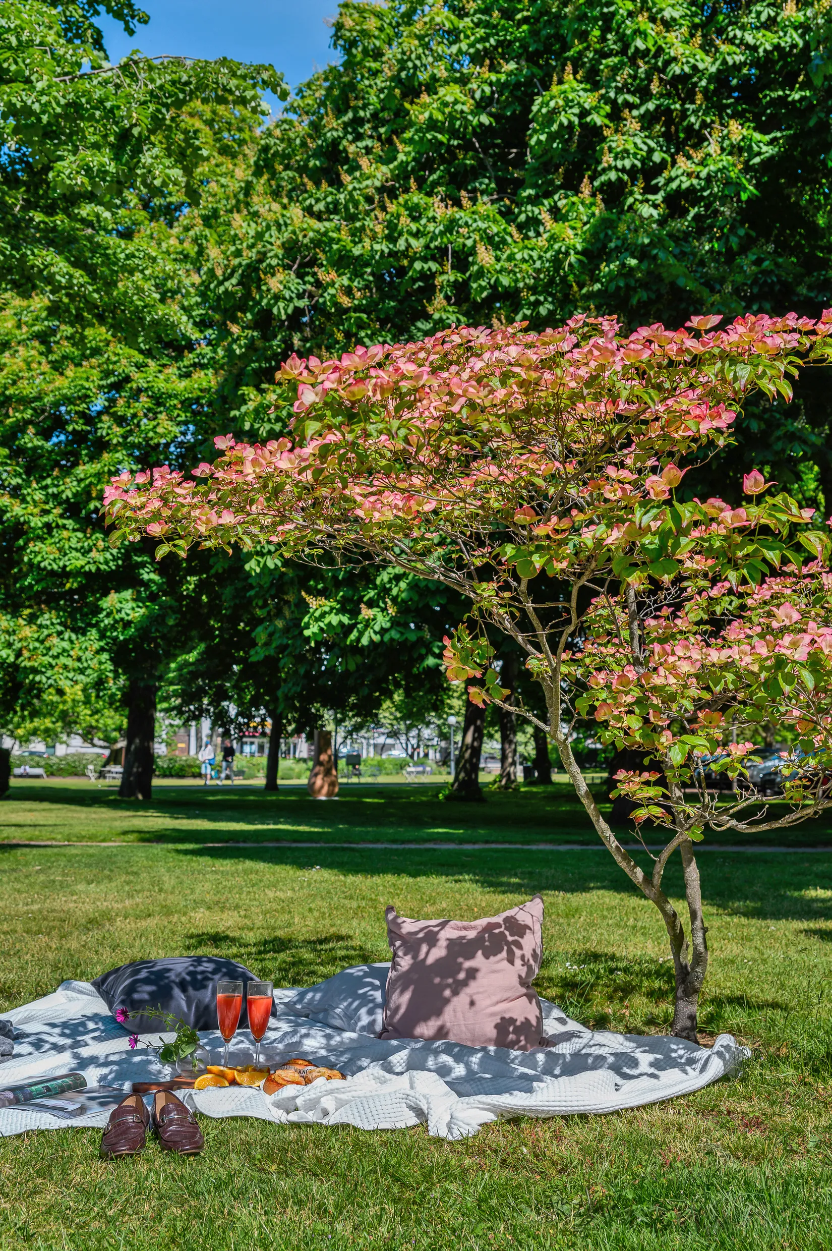 Bostadsrätt, Trädgårdsgatan 13, Helsingborg - Centrum, Helsingborg