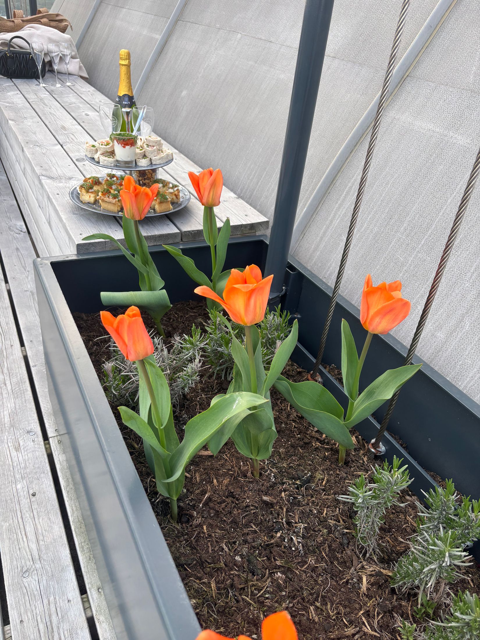 Bostadsrätt, Karlavagnsgatan 1, Lindholmen, Göteborg