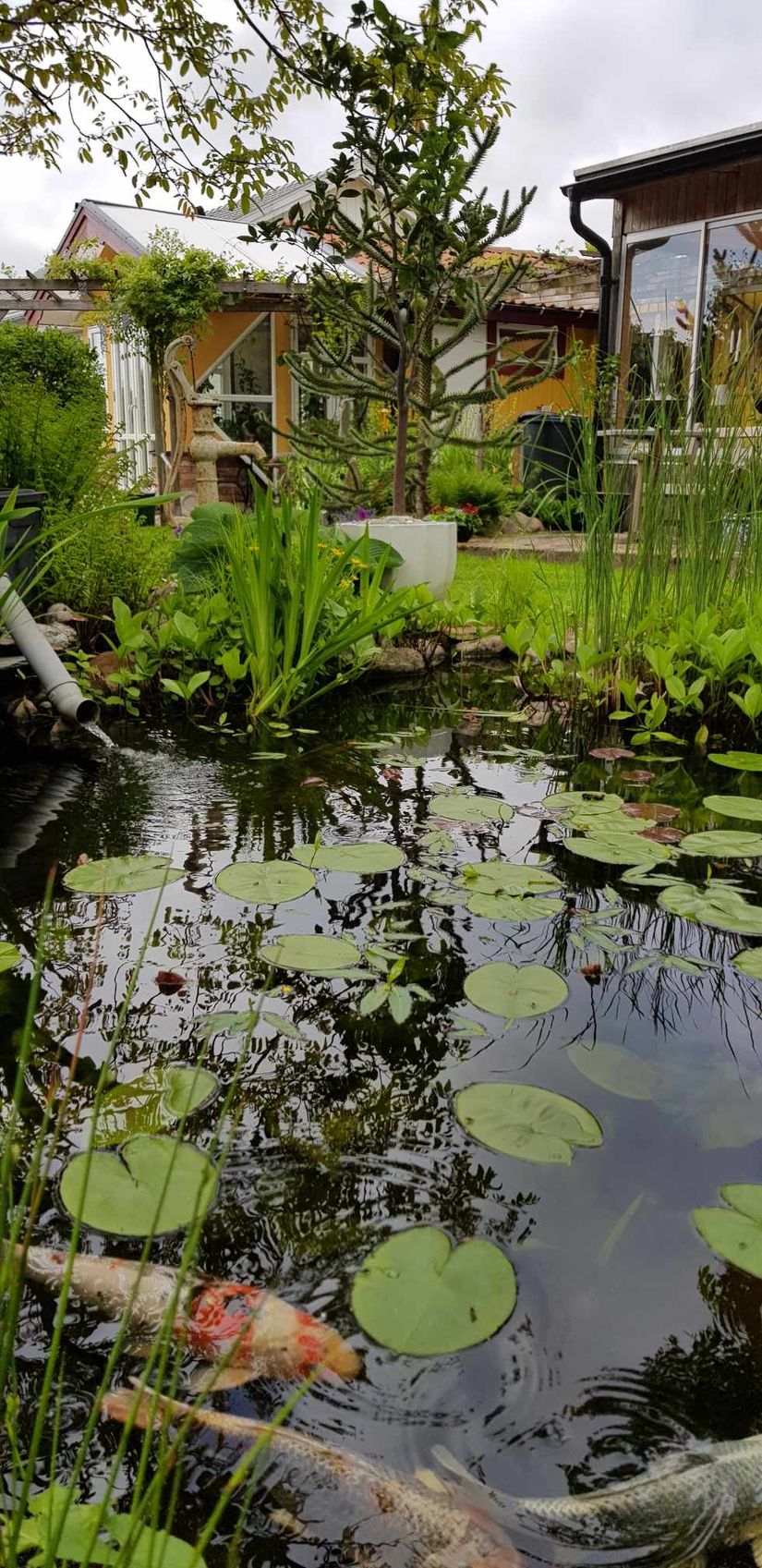 Villa, Liehusvägen 8, Hjärnarp, Ängelholm