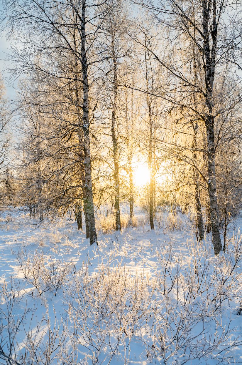 Villa, Markitta 16, Markitta, Gällivare